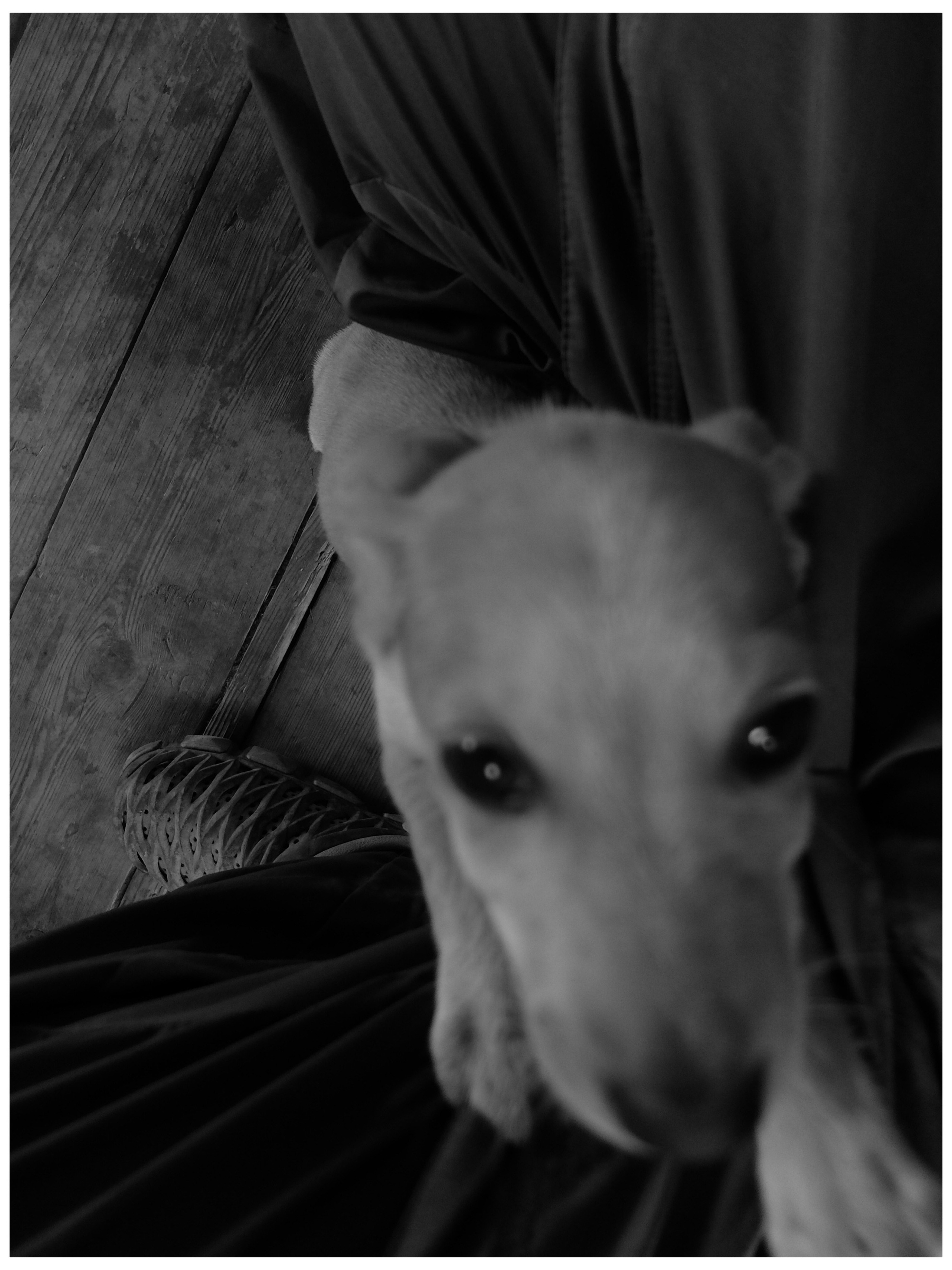 Промежуточные моменты (2022)