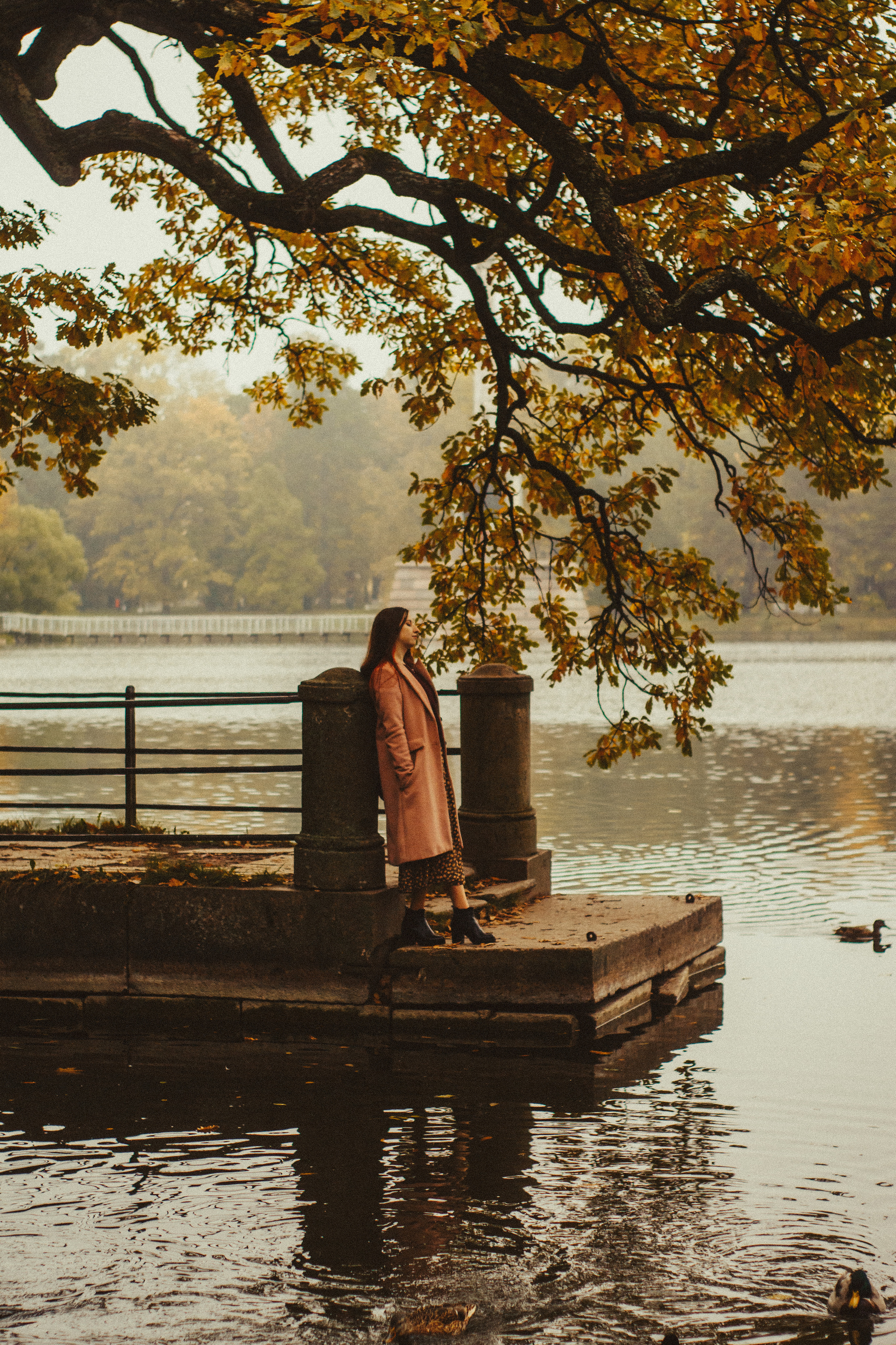 Портфолио. Фотограф Ксения Рулинская (Белик), Санкт-Петербург