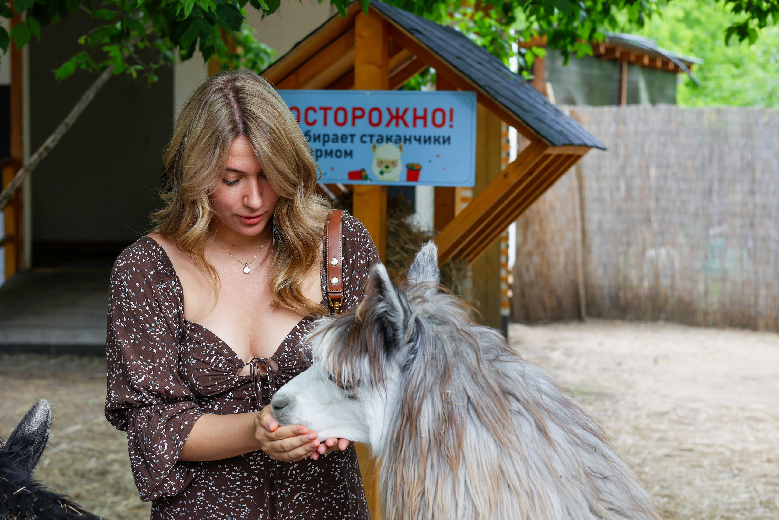 Репортаж. Парк «Сказка». Фотосессии в Москве и МО
