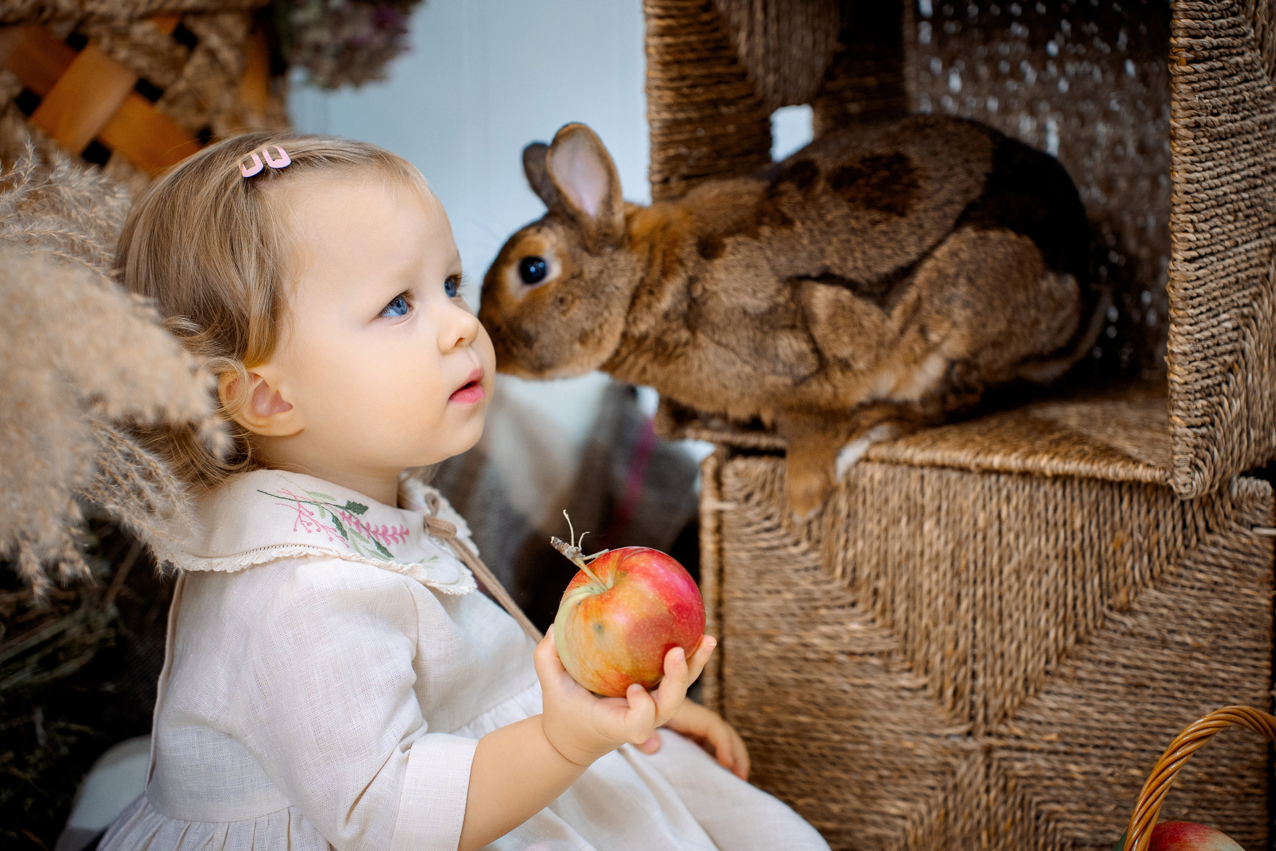 Кролик. Фотограф Казакова Анастасия