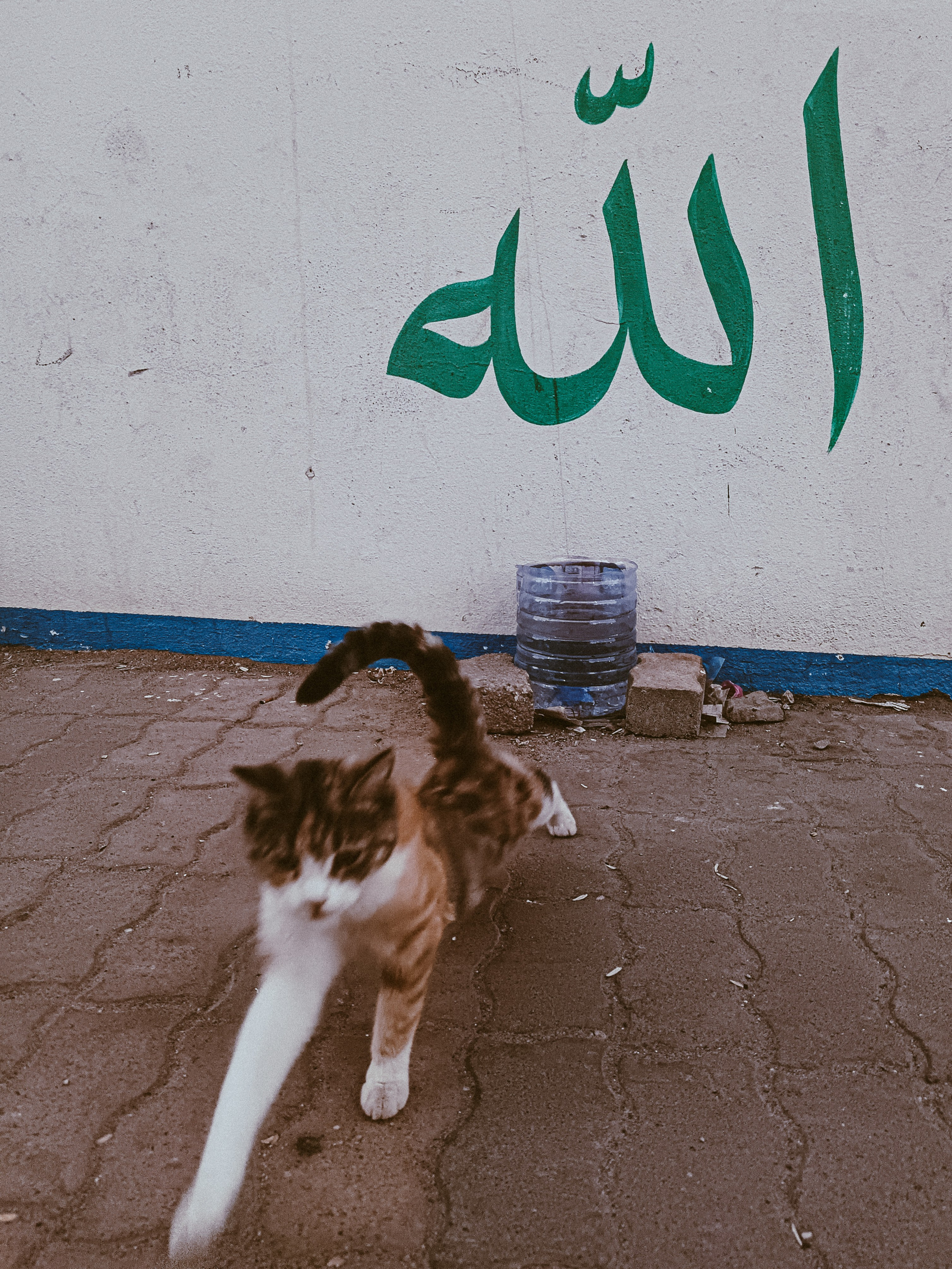 Мобильная. Jorgis — фотограф в Хургаде / обучение фотографии