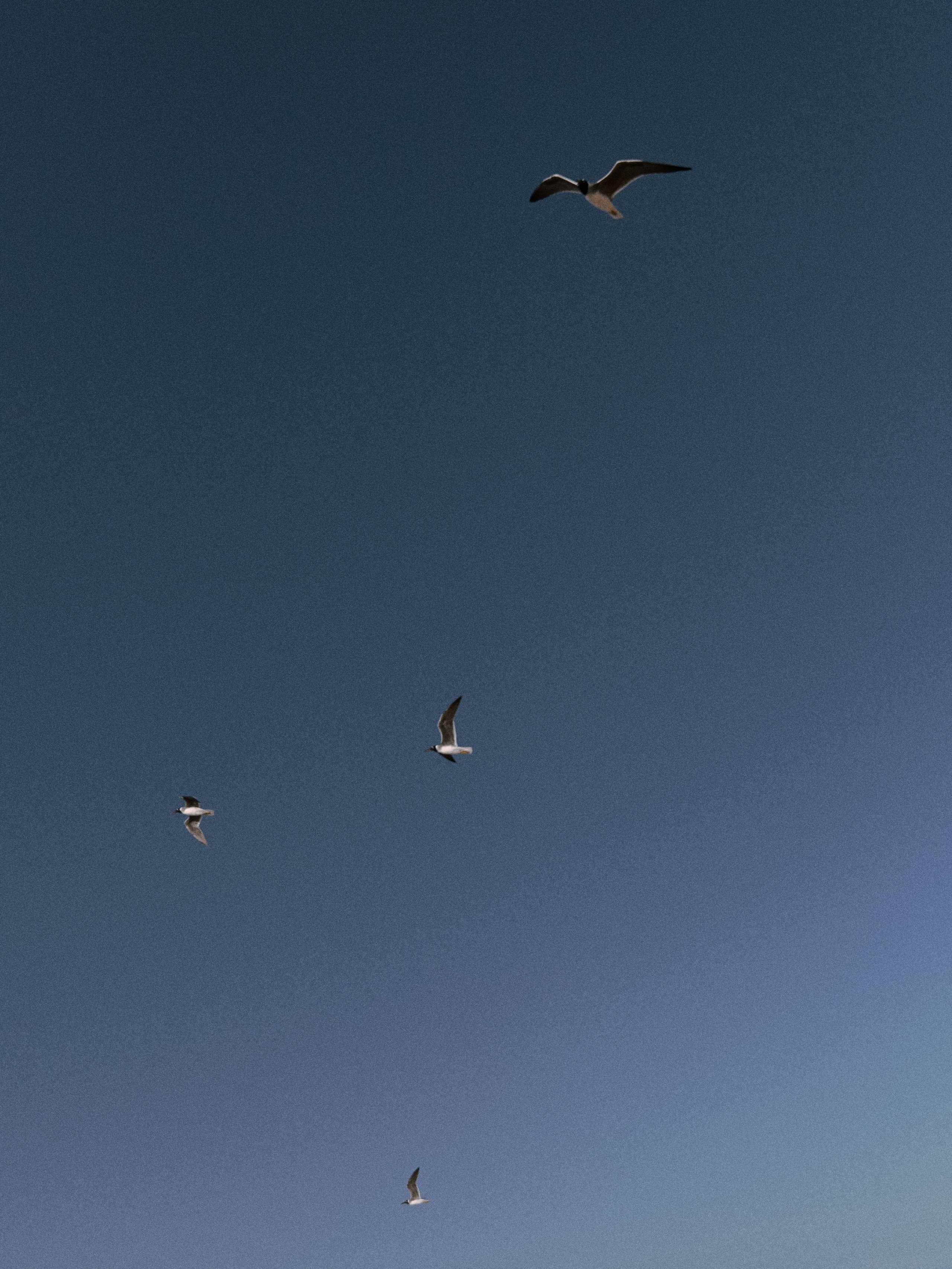 Природа. Jorgis Talè — photographer, kind person, teacher of arts and other mag