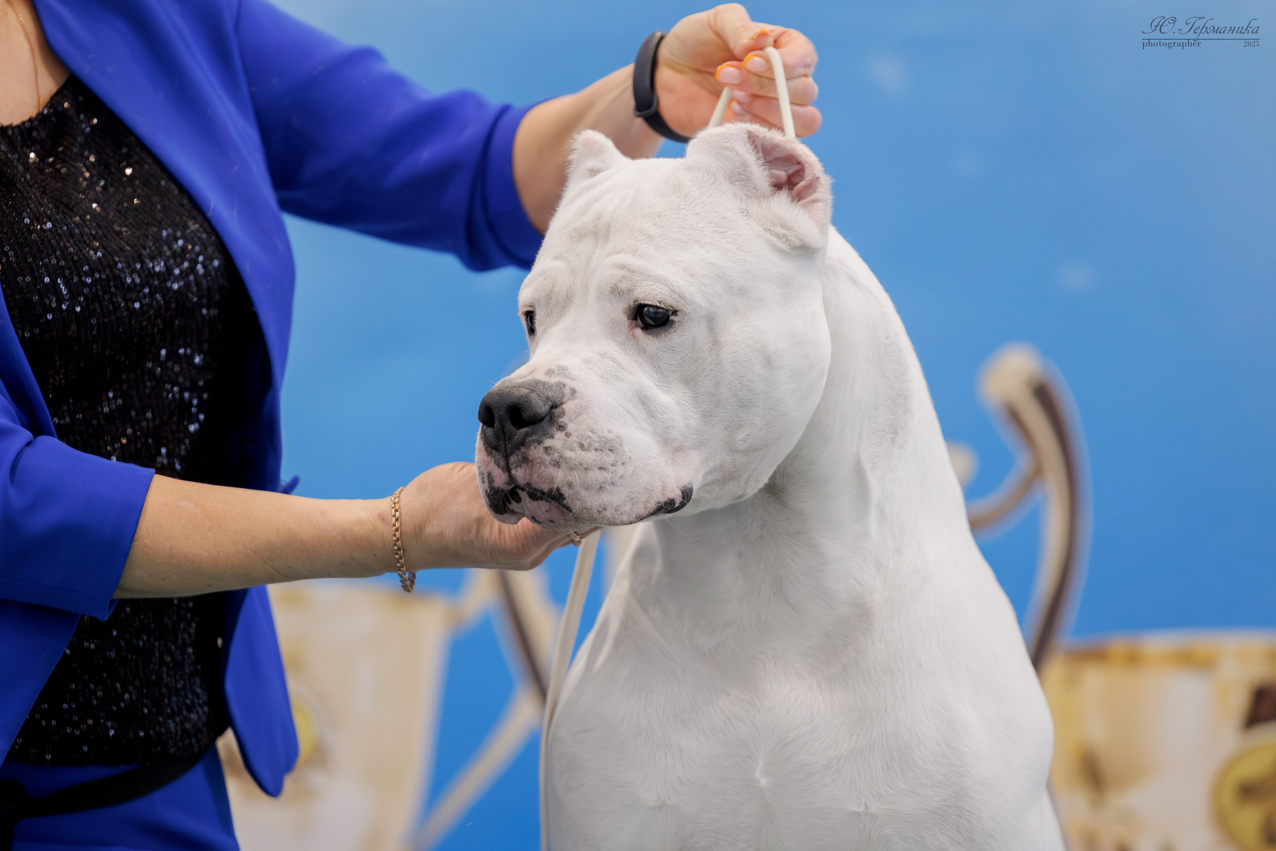 Минск 1-2.03.2025. Фотограф-анималист Юлия Германика