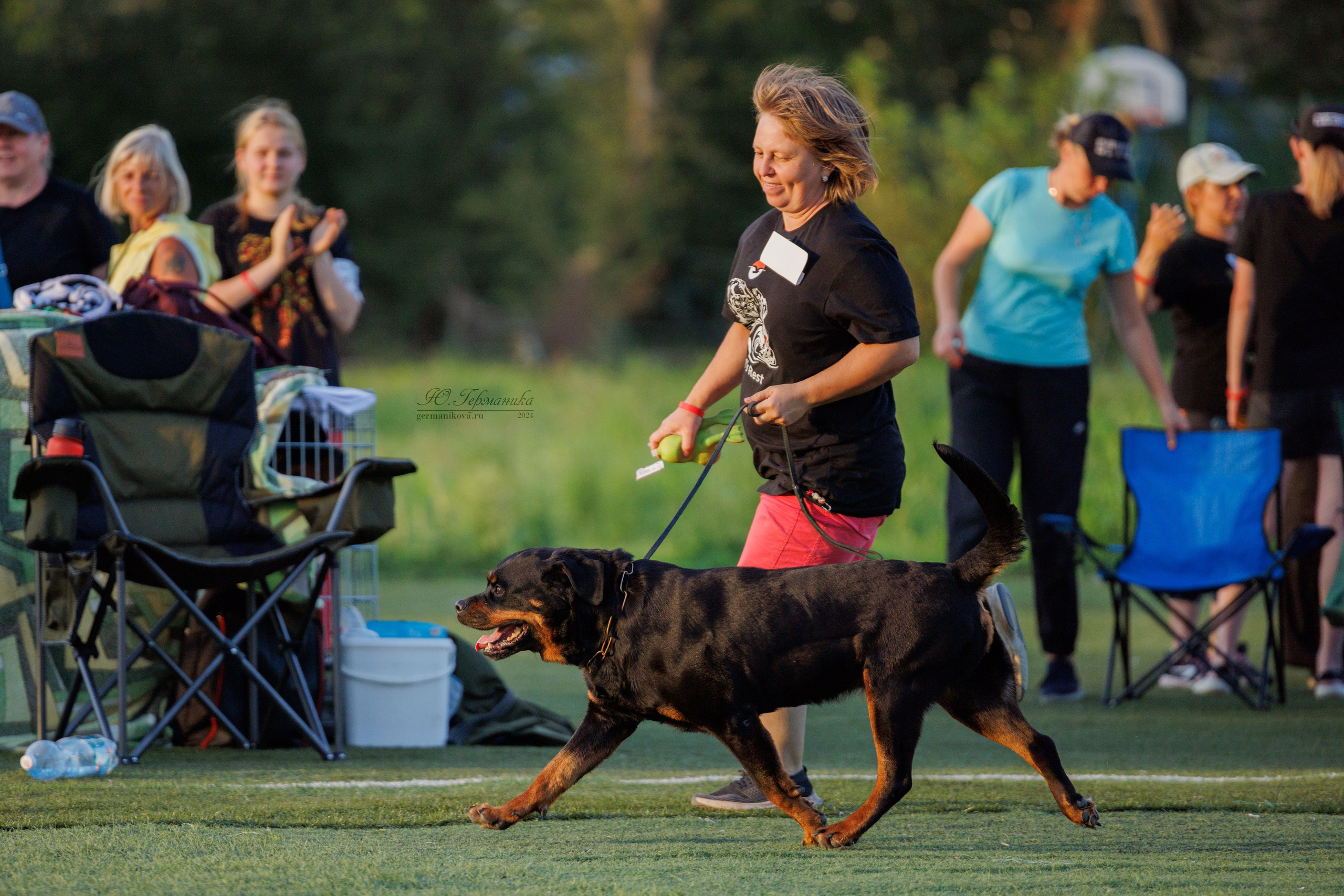 Анапа ротвейлеры 14-15.09.2024. Фотограф-анималист Юлия Германика