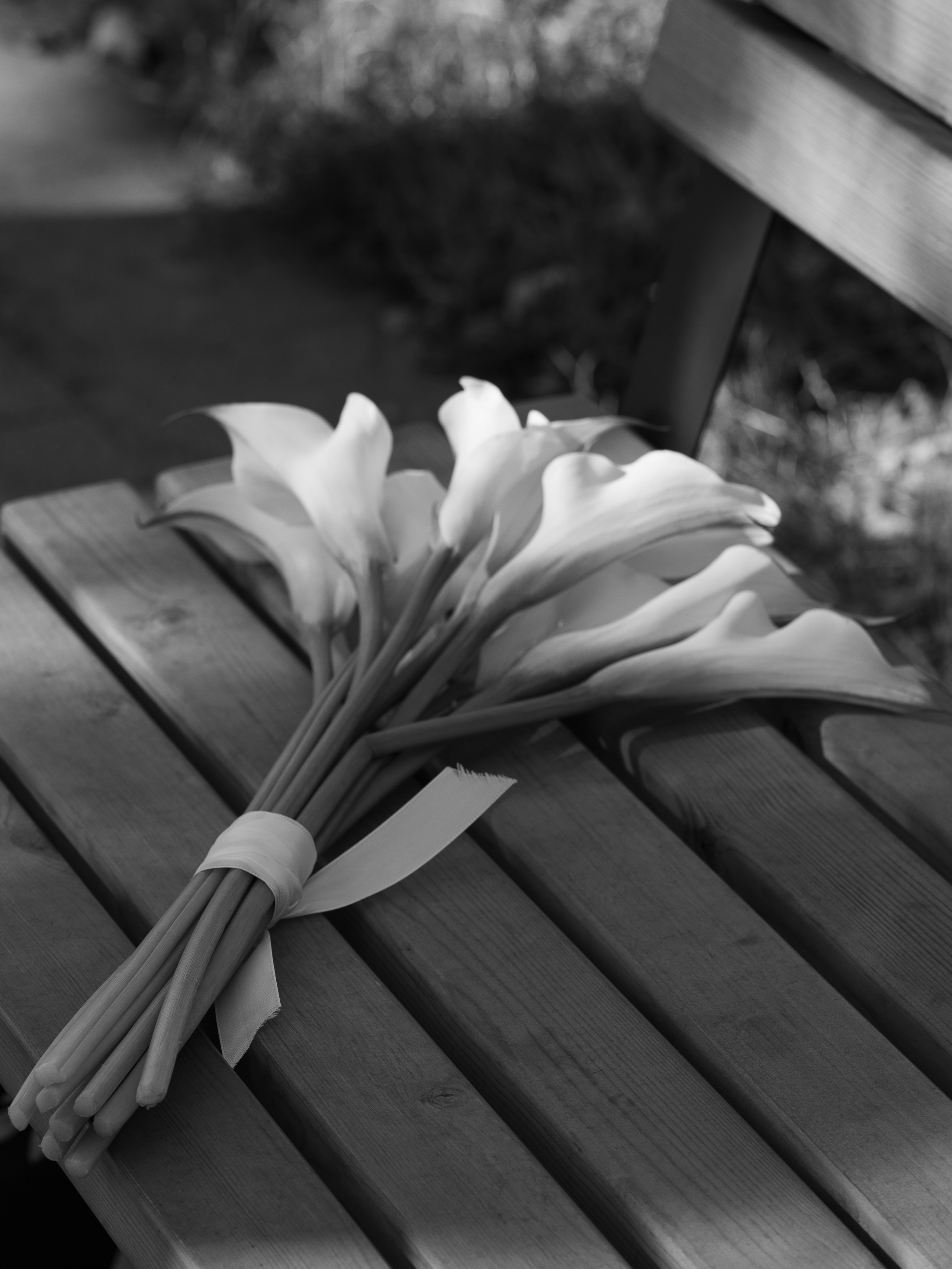 Анастасия и Владимир. ФОТОГРАФ Любовь Скок. Москва