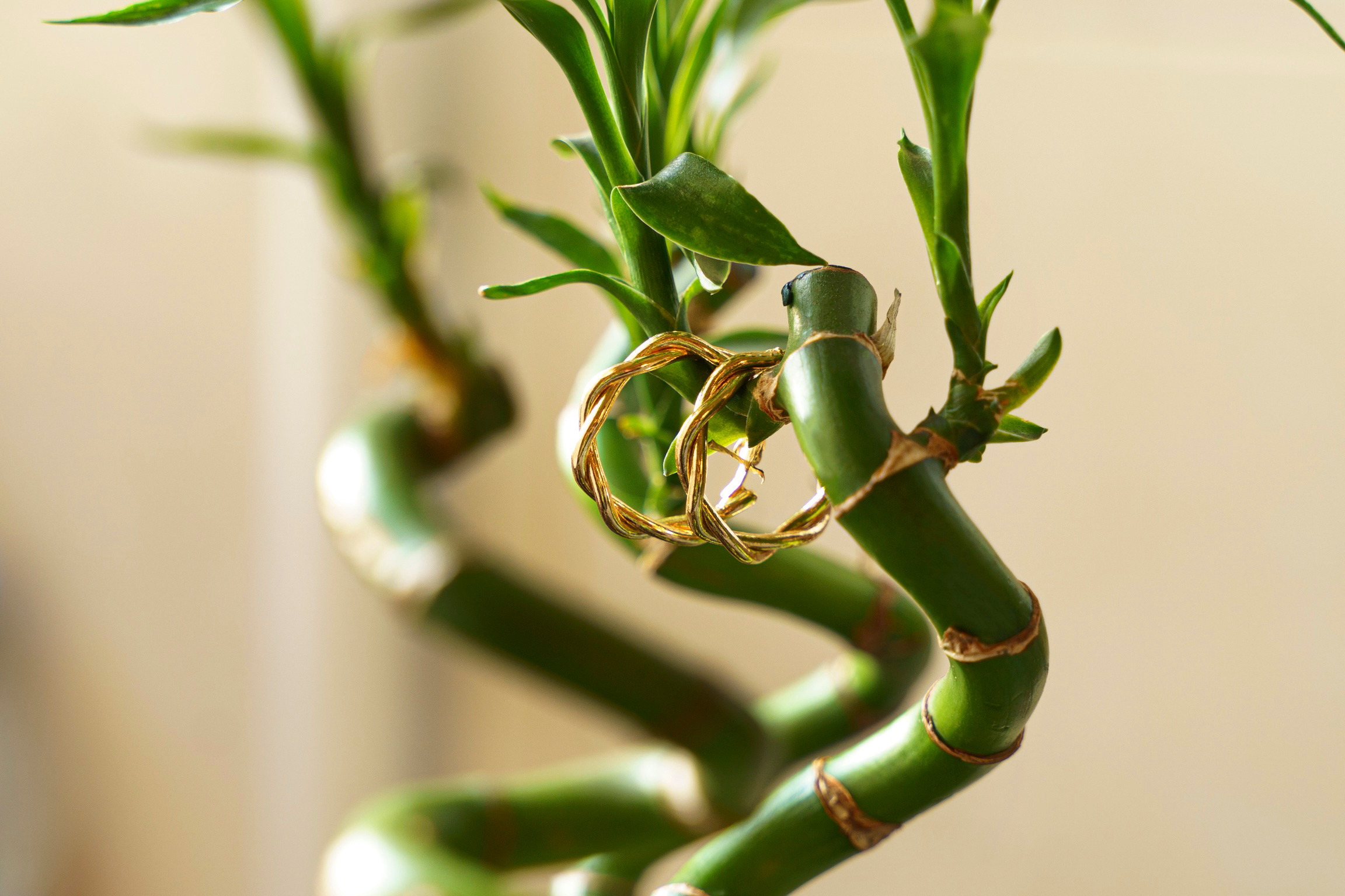 Бижутерия. Анастасия Дунаева. Фотограф в Севастополе