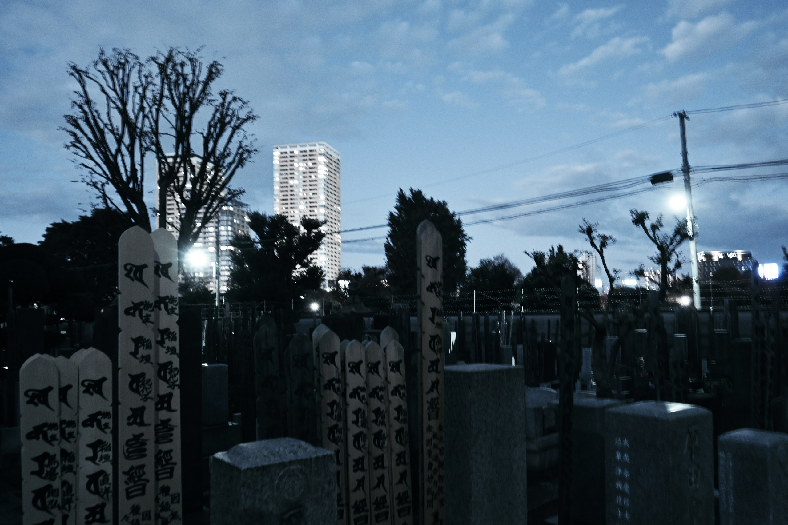 Tokyo night street. Iraogo