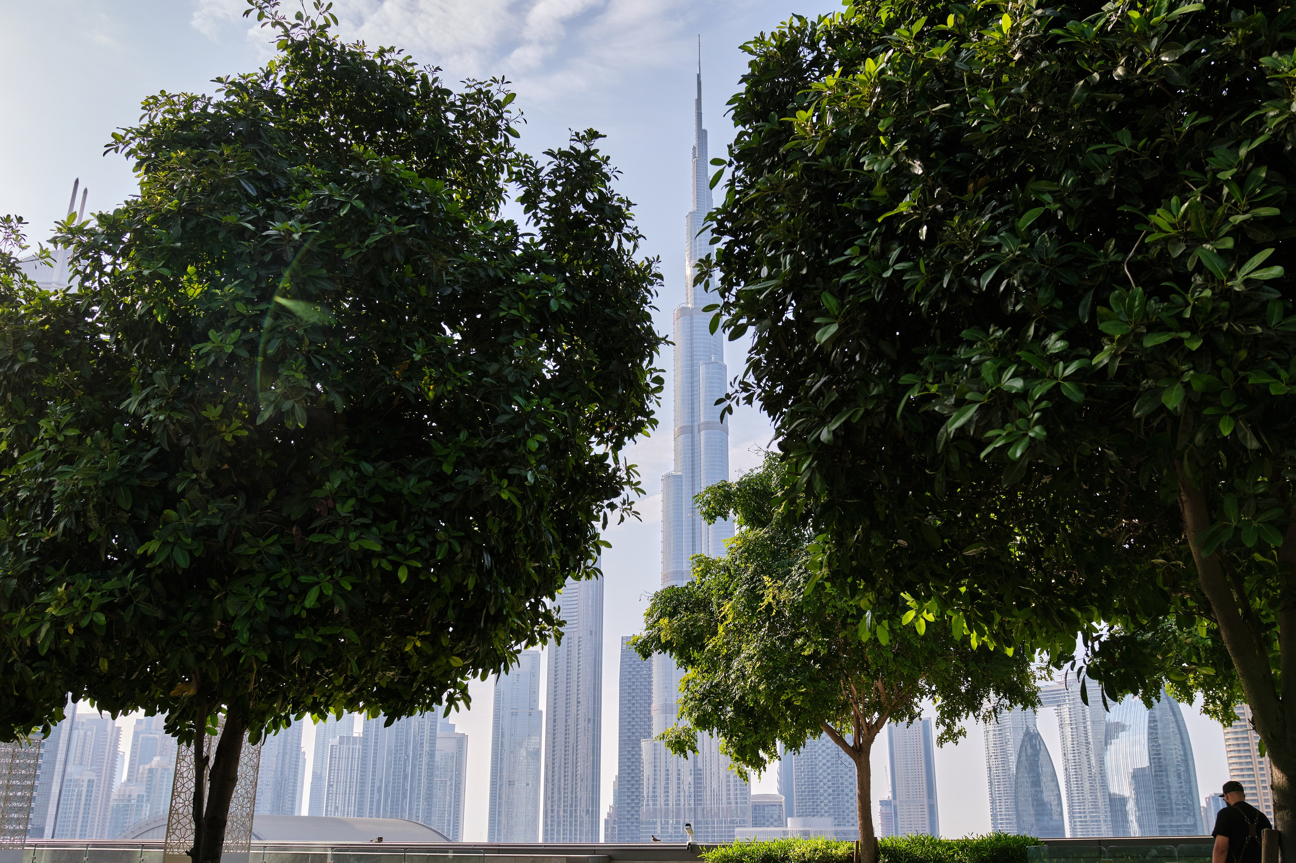 Недвижимость. Коммерческий, репортажный фотограф в Москве Лейла Мару