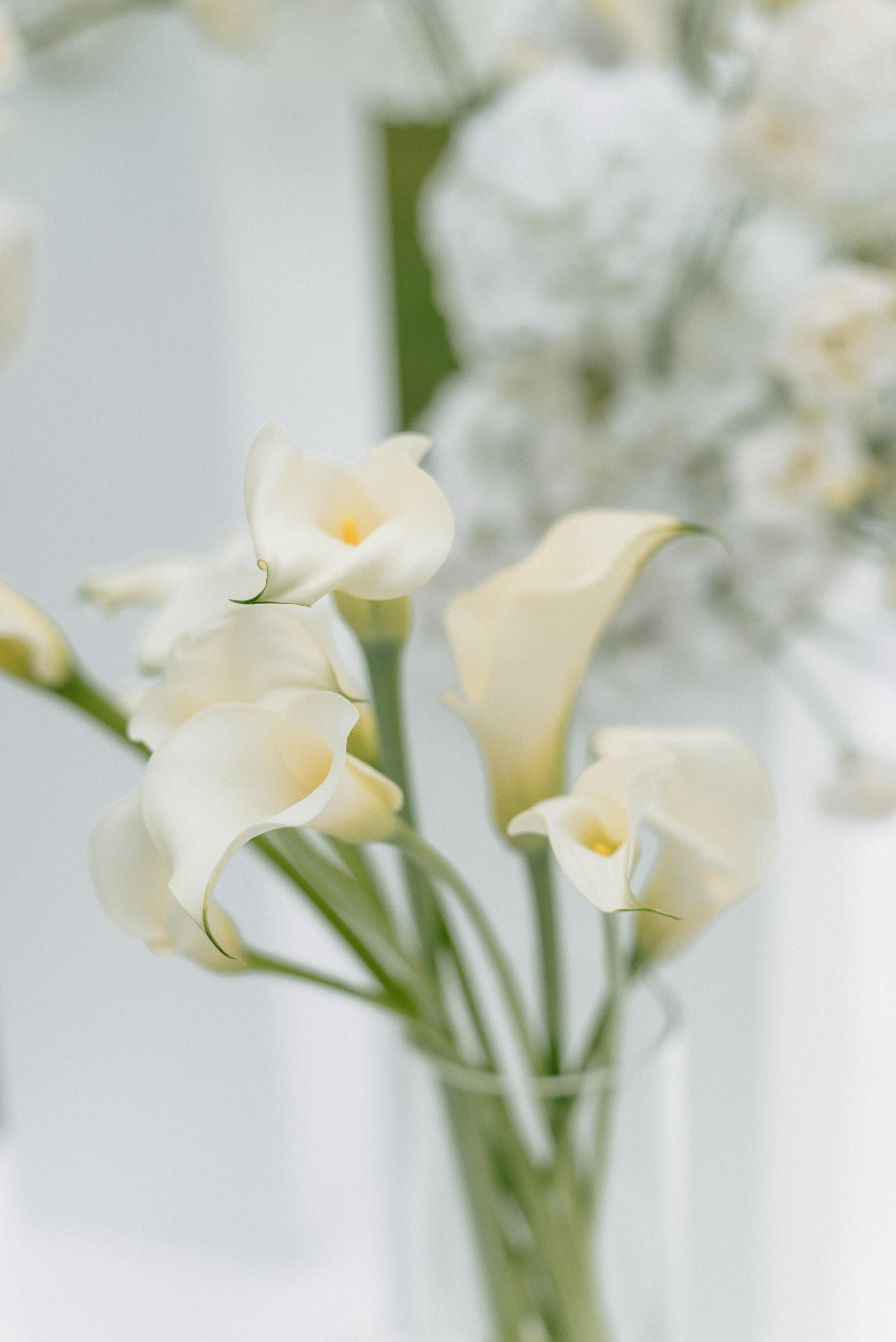 Ольга и Кирилл. Свадебный и портретный фотограф в Минске Татьяна Лобода