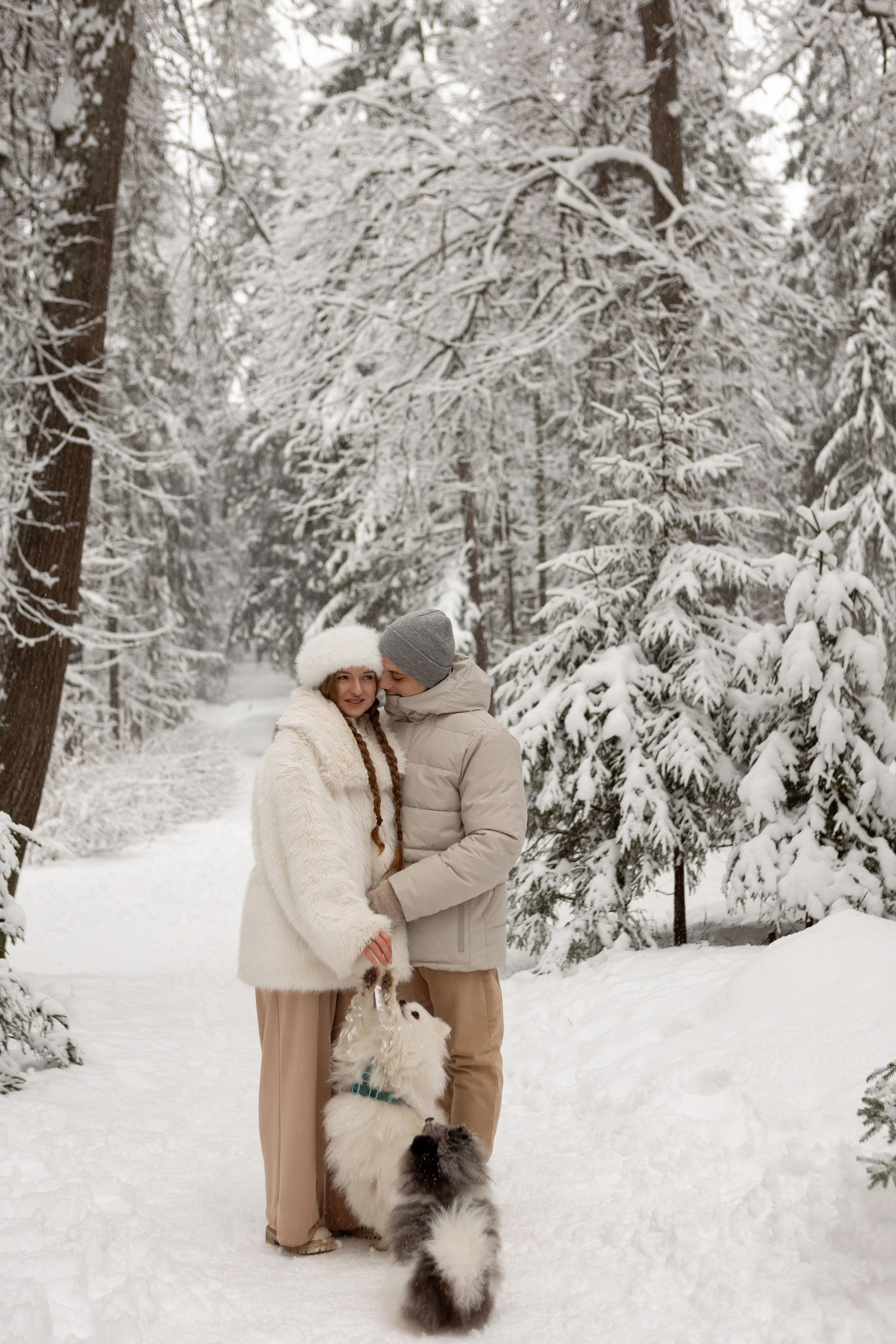 Новогодняя фотосессия с собачками в шуваловском парке. Свадебный фотограф в СПБ | Санкт-Петербурге Анастасия Рахимгулова