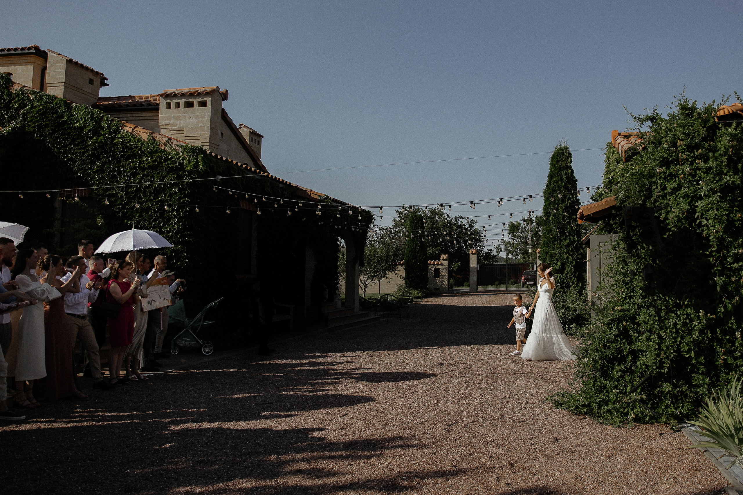 Побеждает любовь (Винодельня Пестиковых). Свадебный фотограф Ольга Ермакович