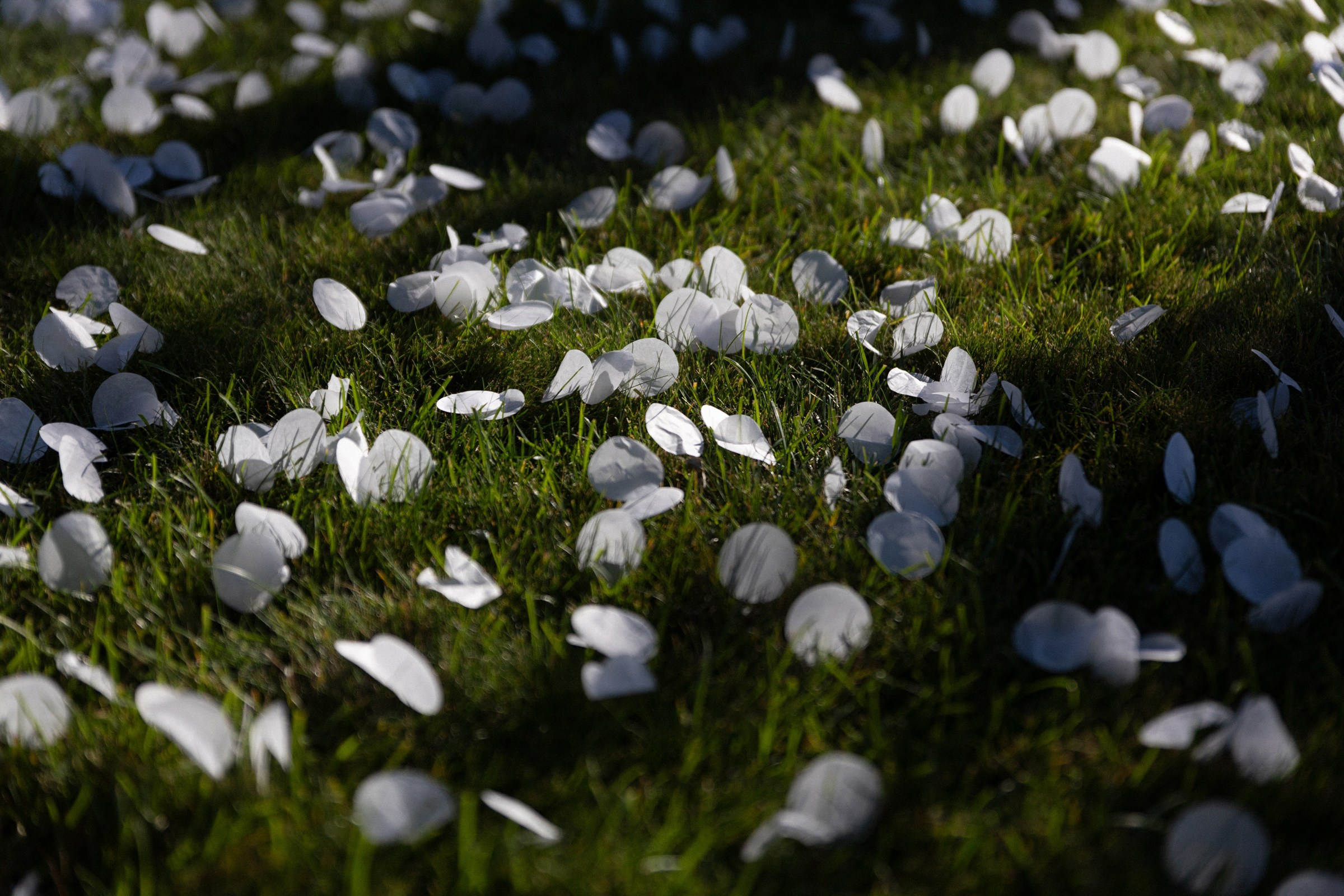 Александр и Яна (31.08.23). Свадебный фотограф в Ростове-на-Дону