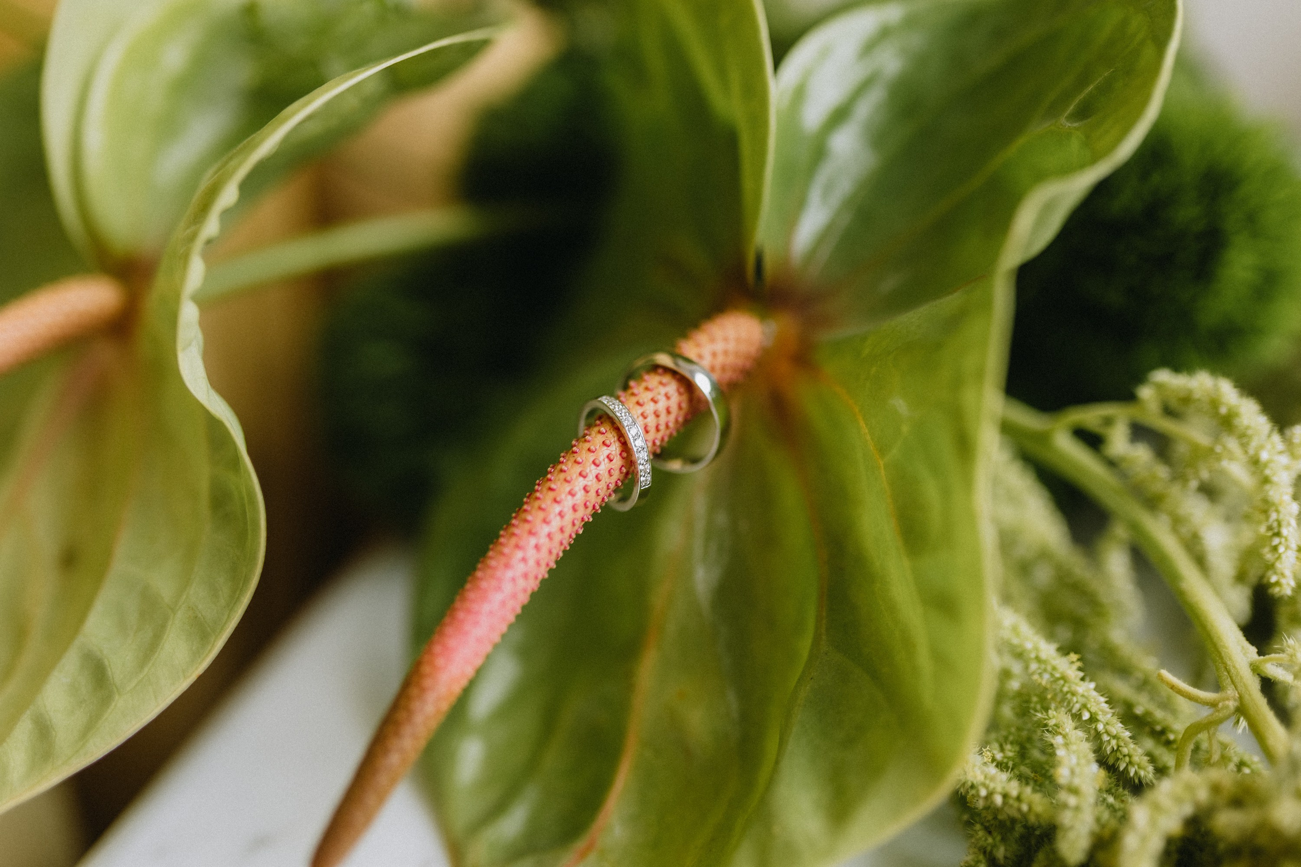 Дарья & Вячеслав. Фотограф из Хабаровска Юлия Черёмушкина