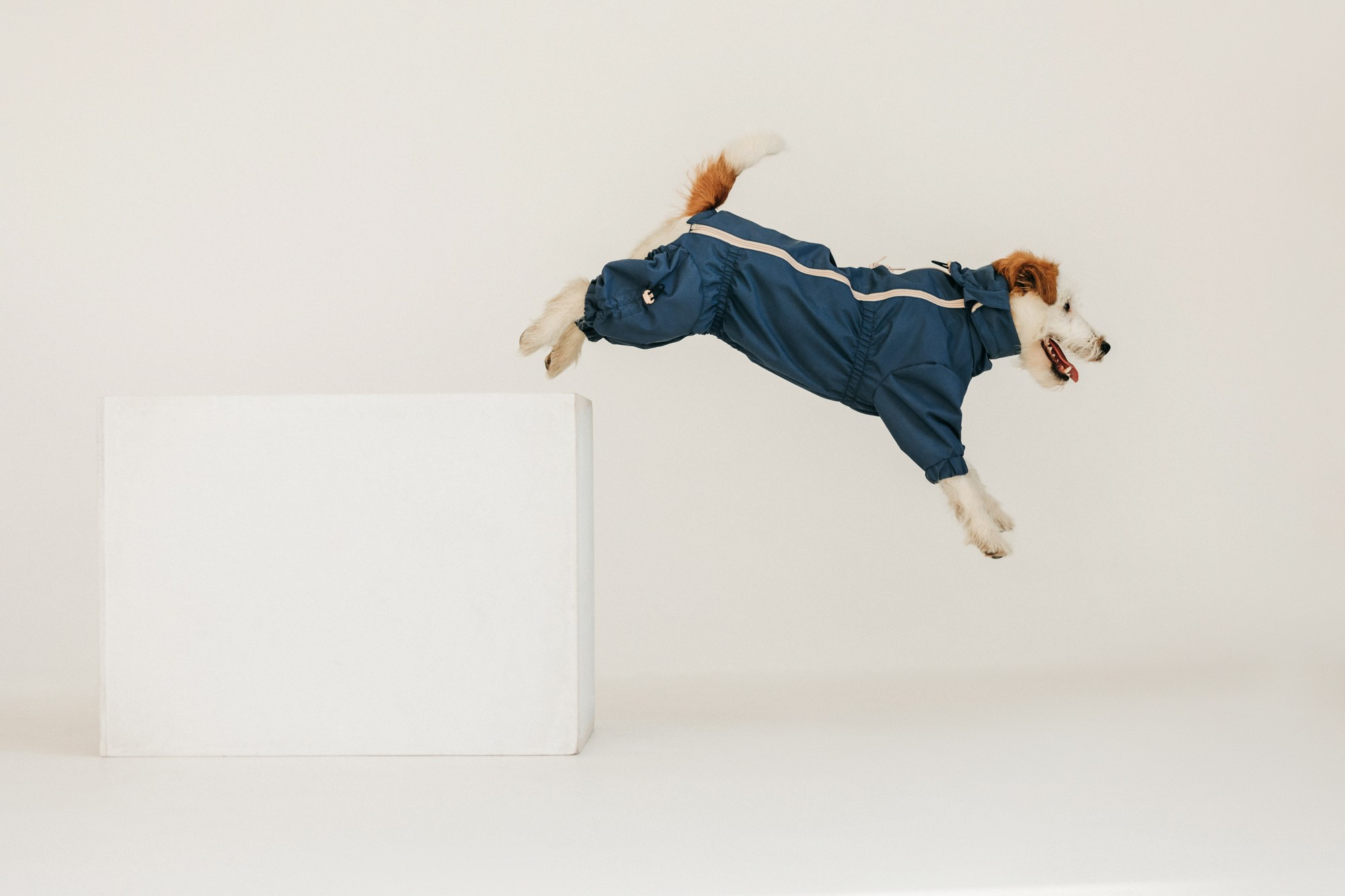 Одежда Lapa`s brand. Фотограф-анималист Елена Радченко, Москва