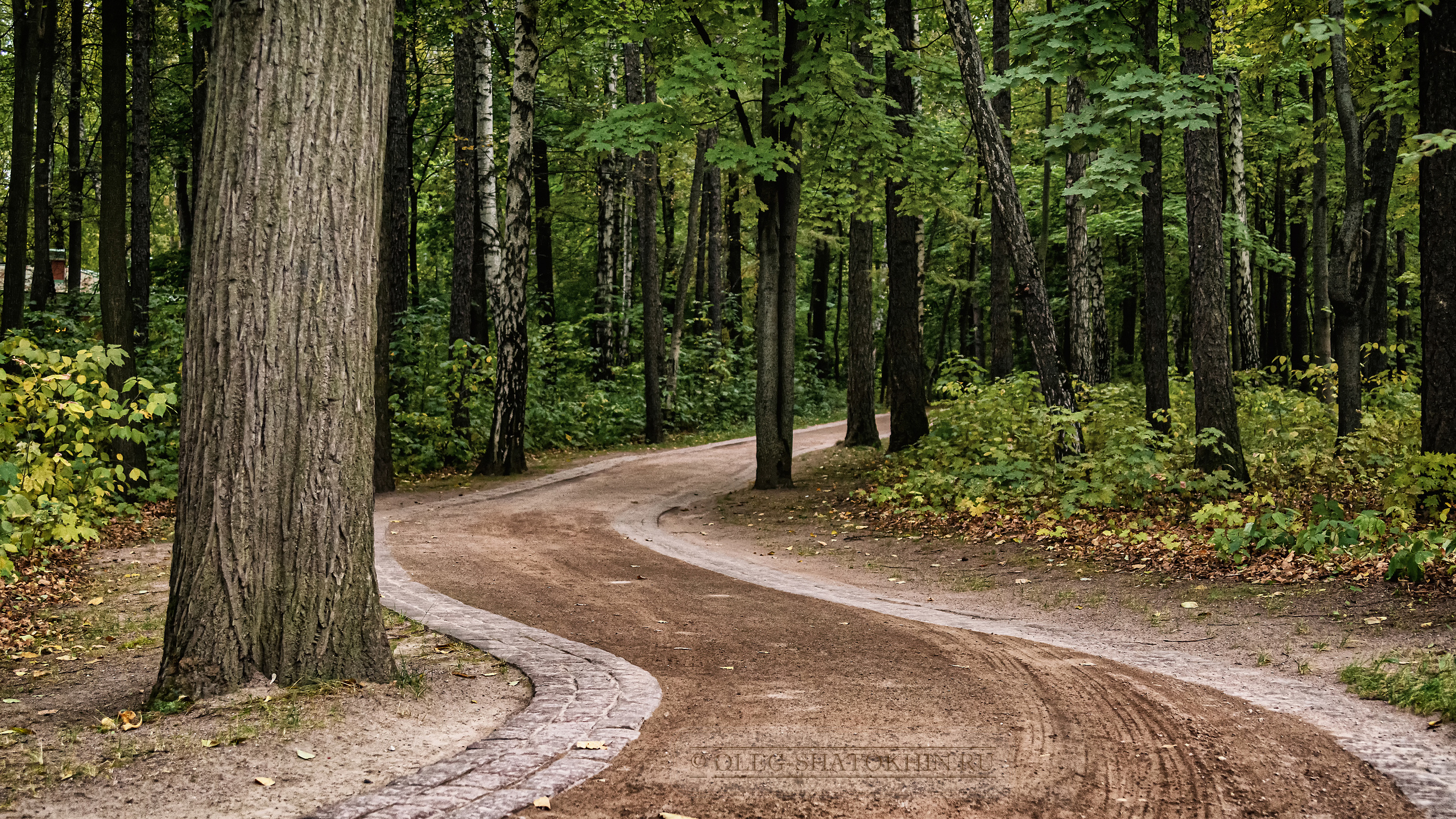 Пейзажи. Свадебный фотограф Олег Шатохин  Москва и Московской область