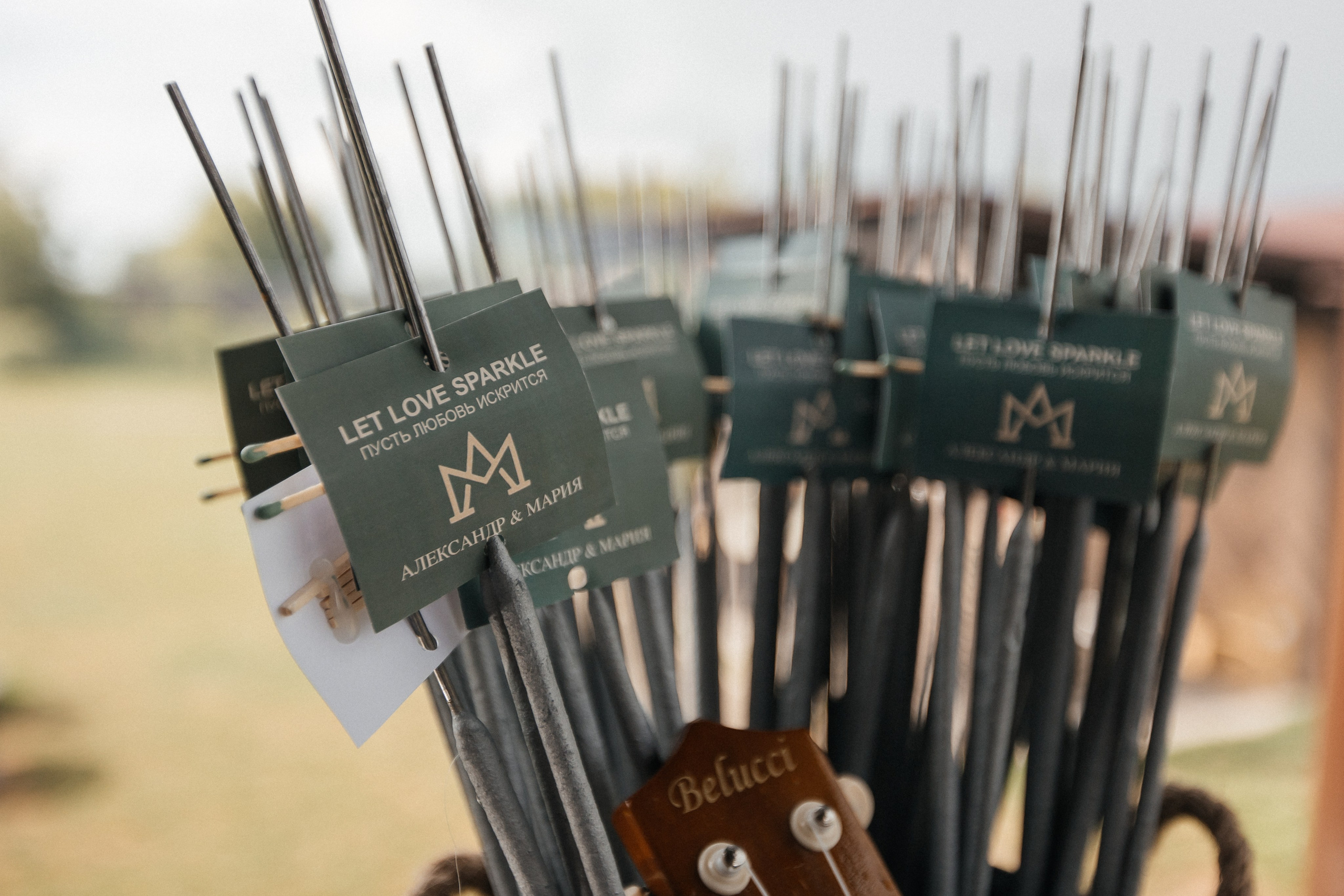 Маша и Саша. Свадебный фотограф Москва и МО Паншина Дарья