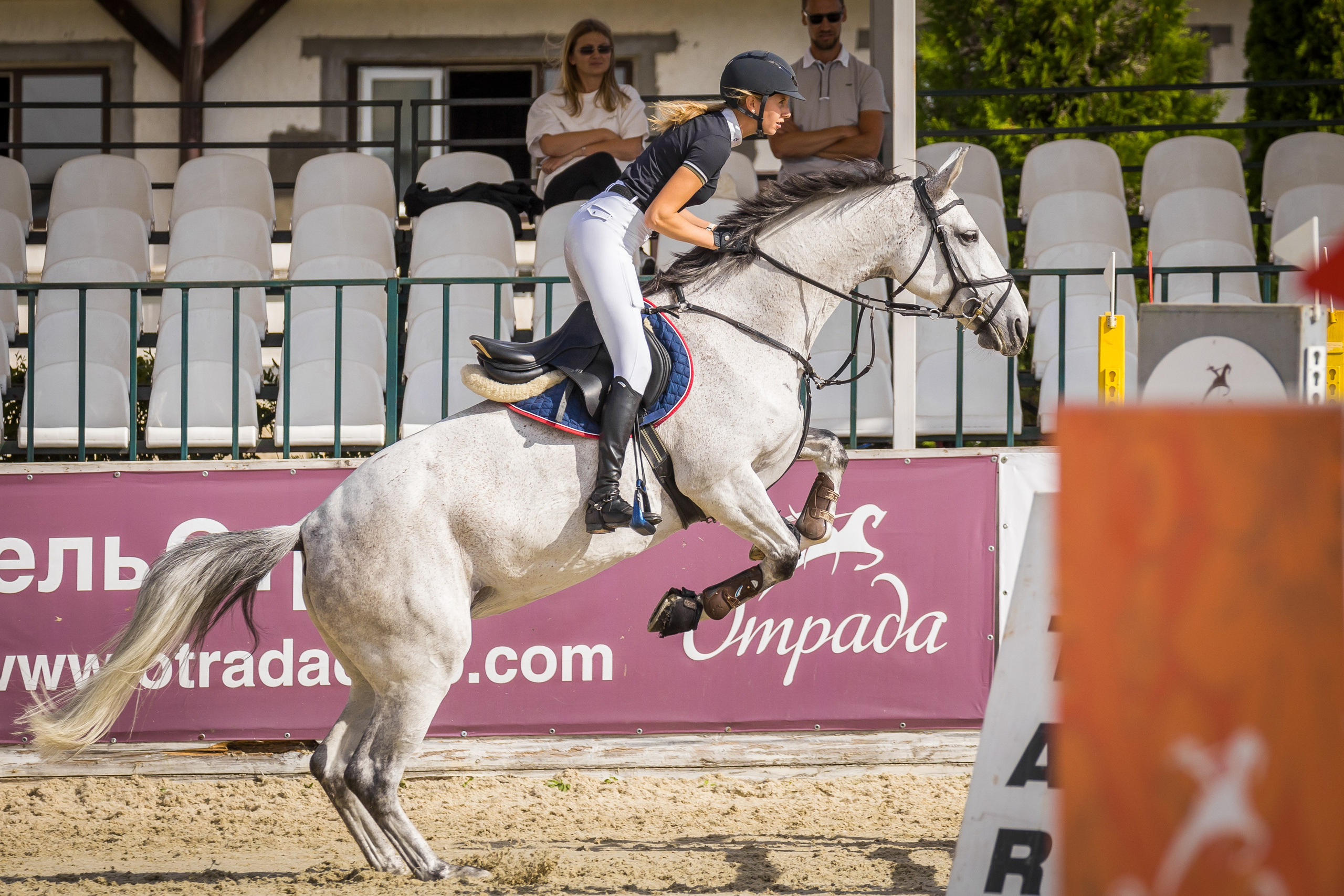 Конный спорт. Photomantis