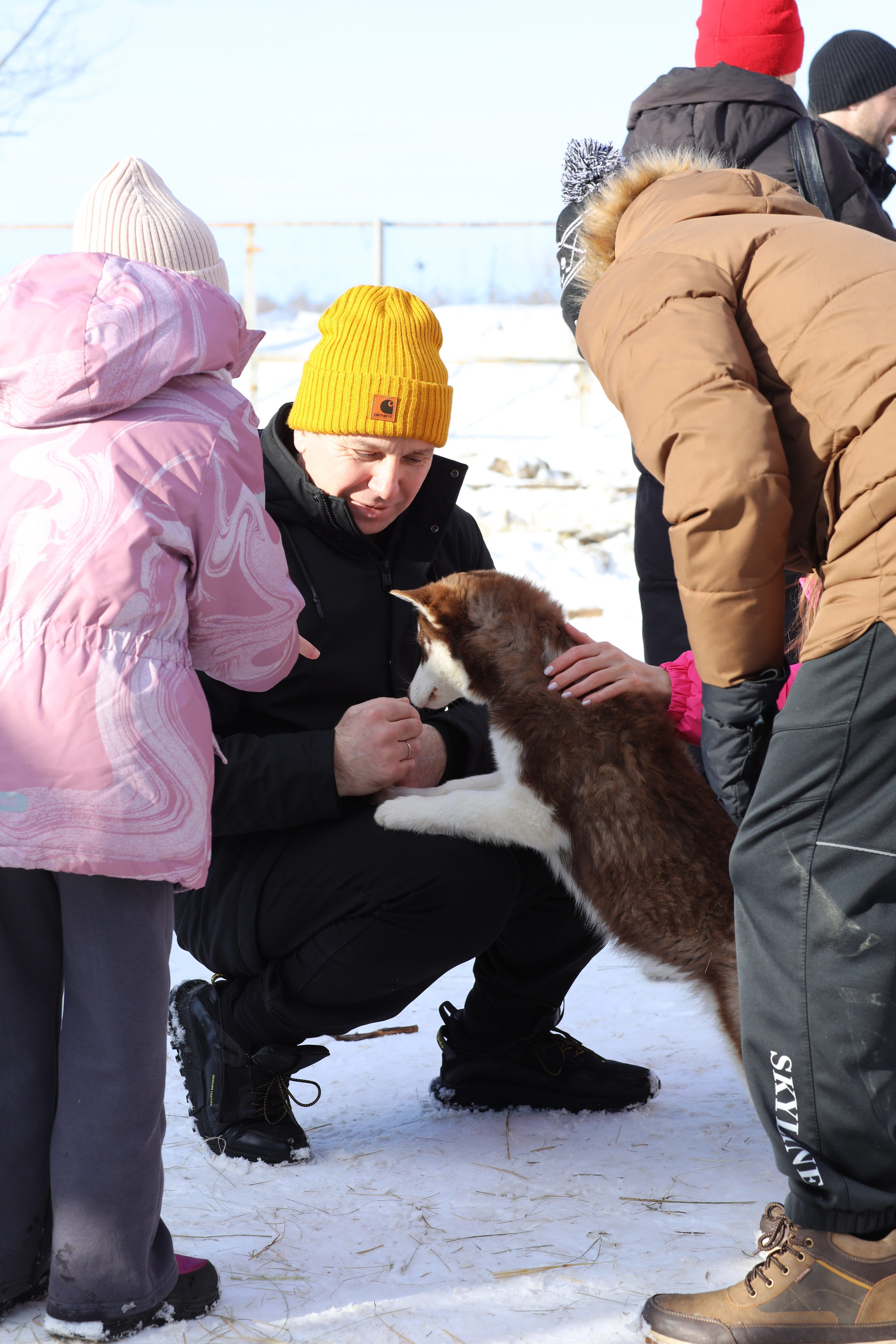 Наши партнеры. Иволга74
