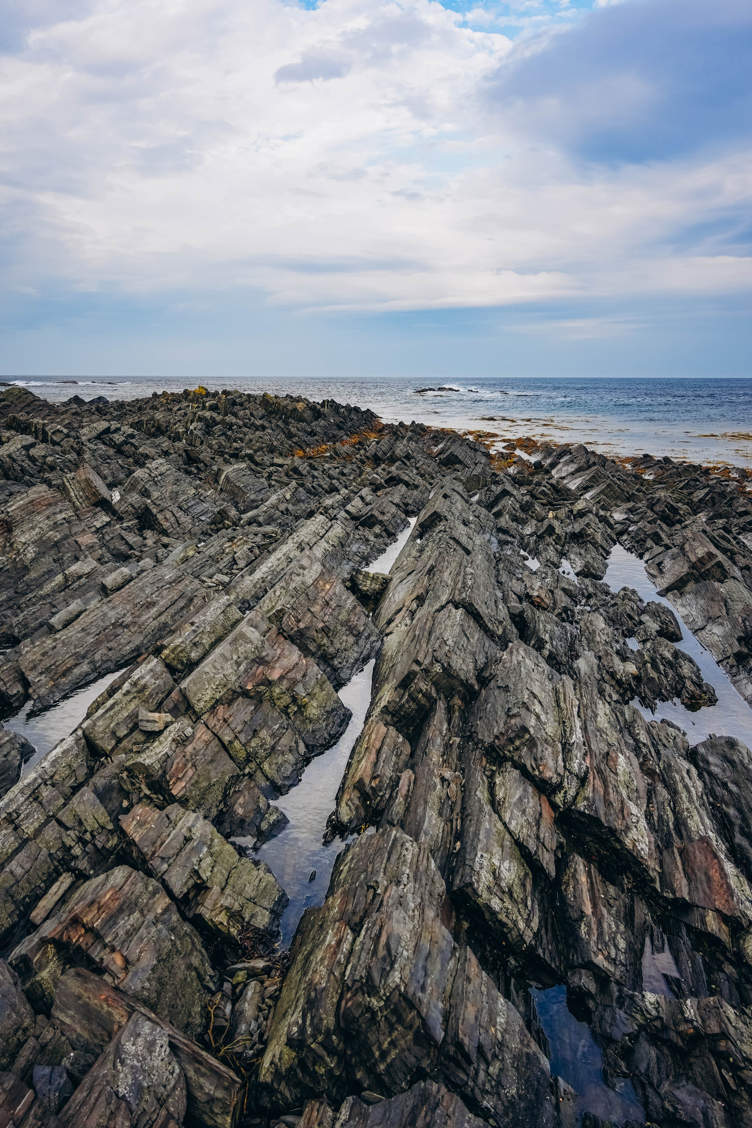 СЕВЕР. Event фотограф Степанова Александра