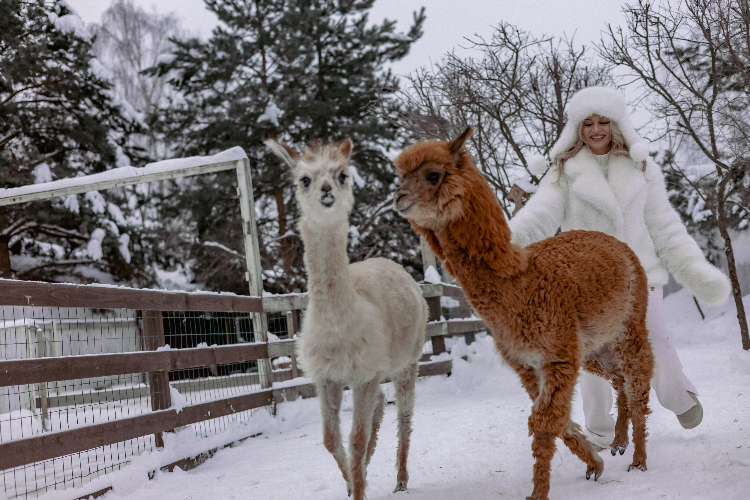 Алина. Детский и семейный фотограф Евгения Вахнеева Москва Зеленоград