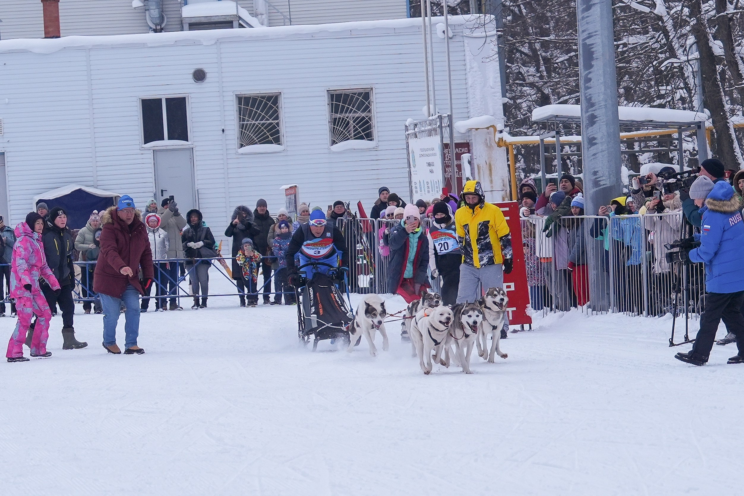 Рождественские гонки на собаках. Т/б «Чайка». Семейный фотограф Владимир Просвиркин. г. Самара