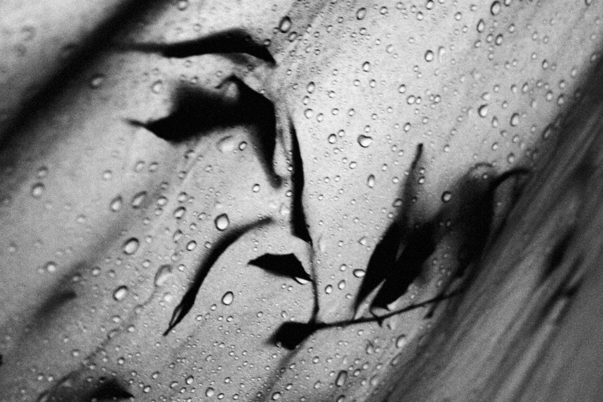 Меланхолия. Фотограф Наталия Глебкина