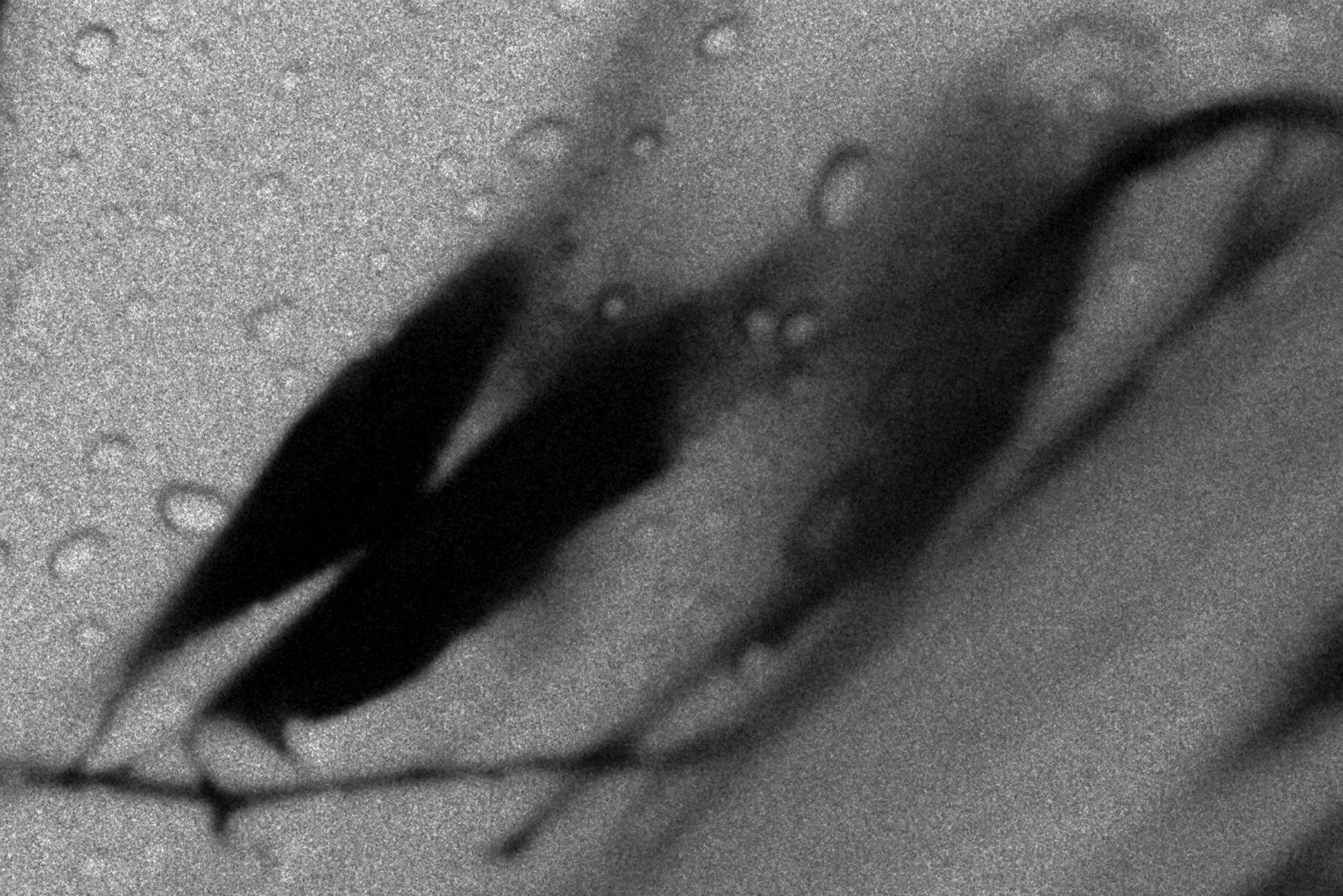 Меланхолия. Фотограф Наталия Глебкина