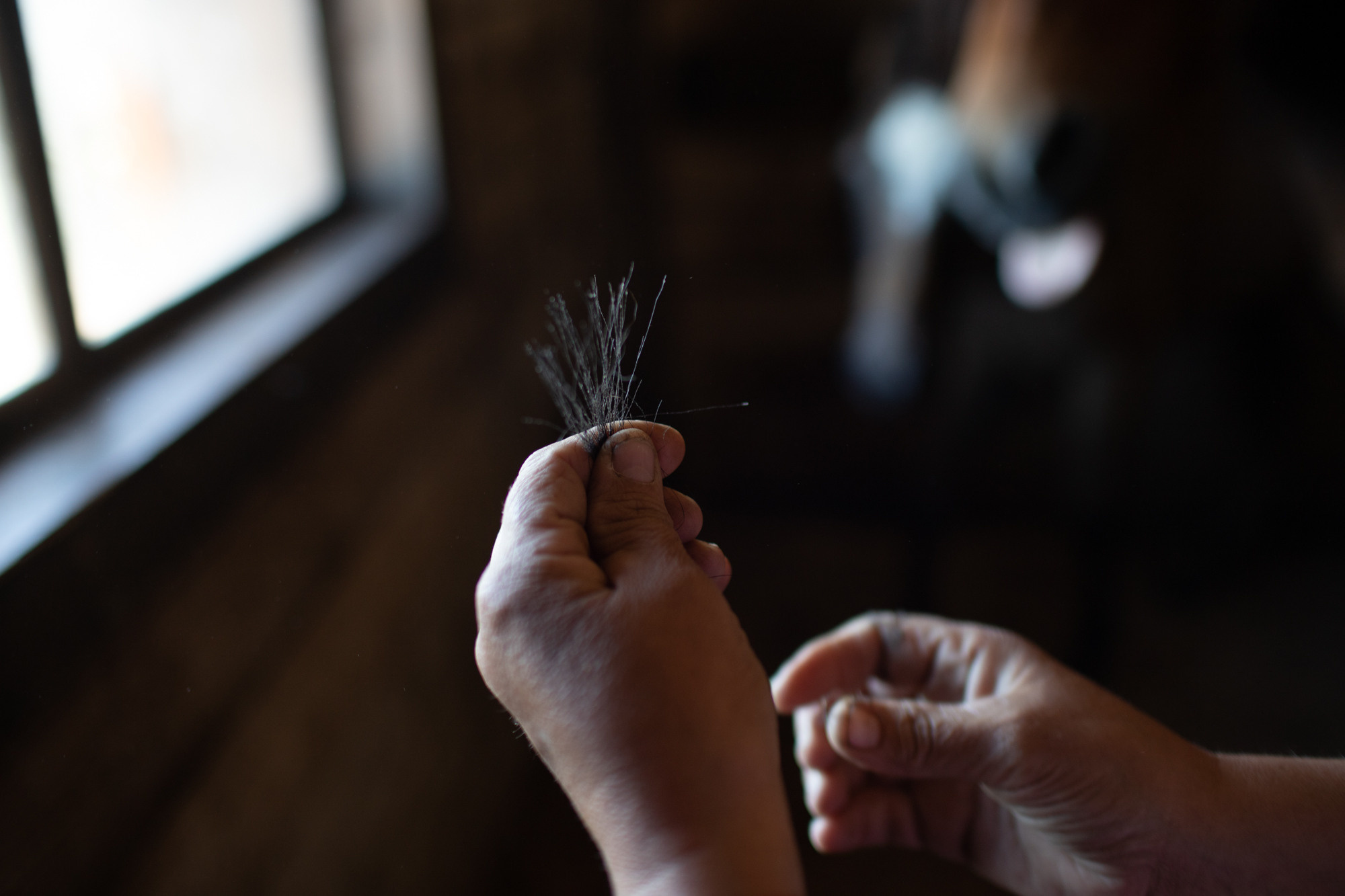 Ферма. Фотограф Наталия Глебкина