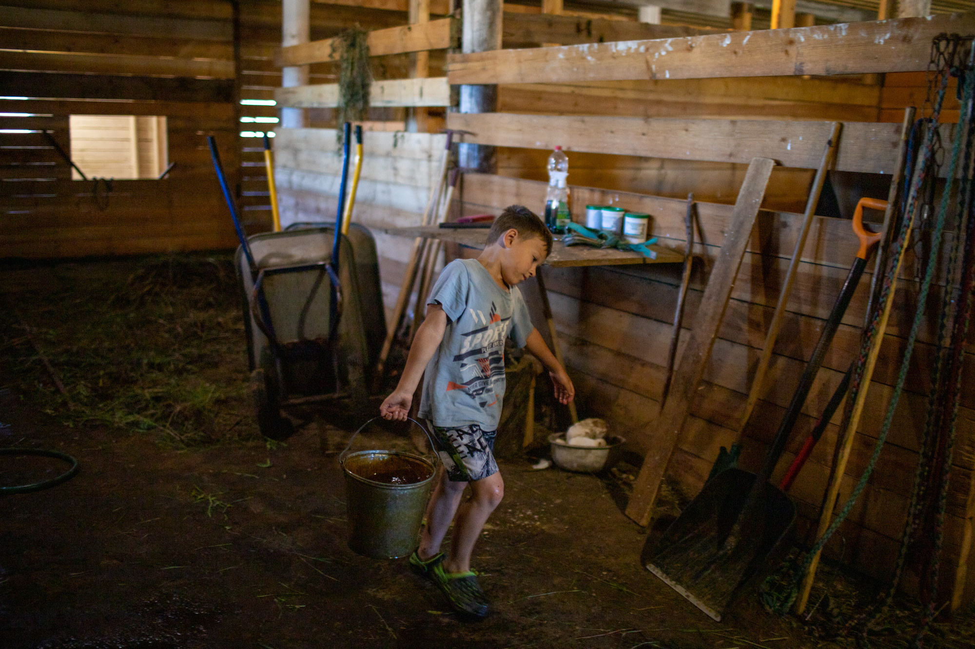 Ферма. Фотограф Наталия Глебкина