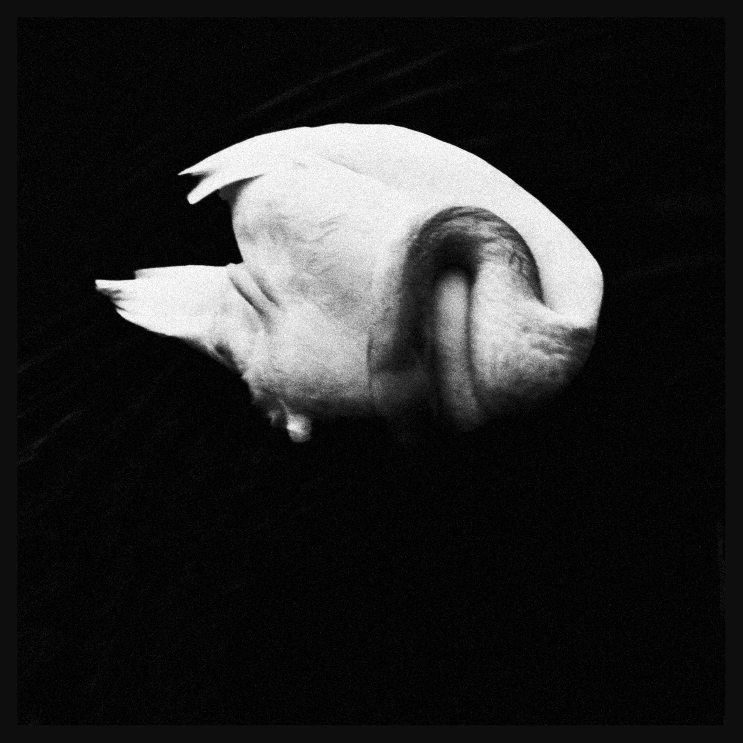 Меланхолия. Фотограф Наталия Глебкина