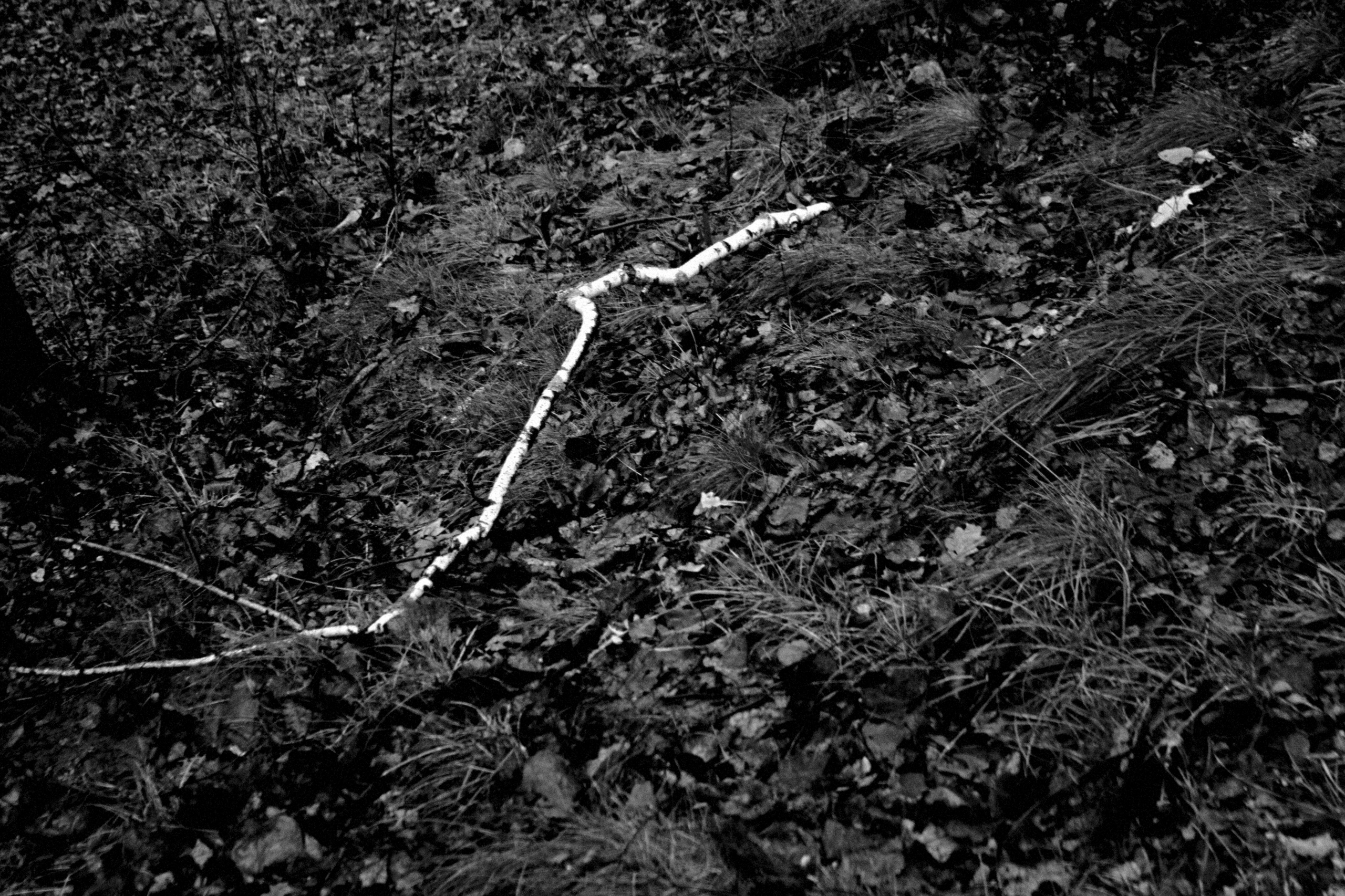 Меланхолия. Фотограф Наталия Глебкина