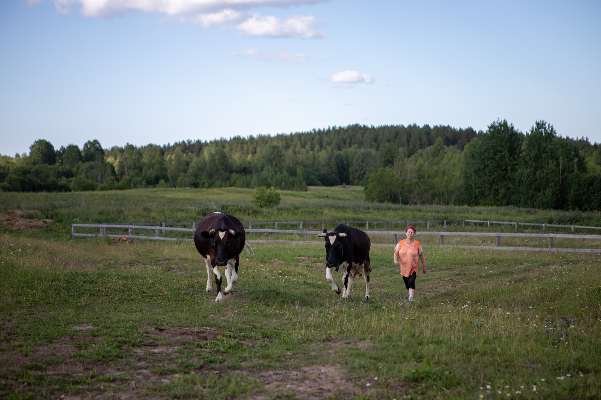 Ферма. Фотограф Наталия Глебкина