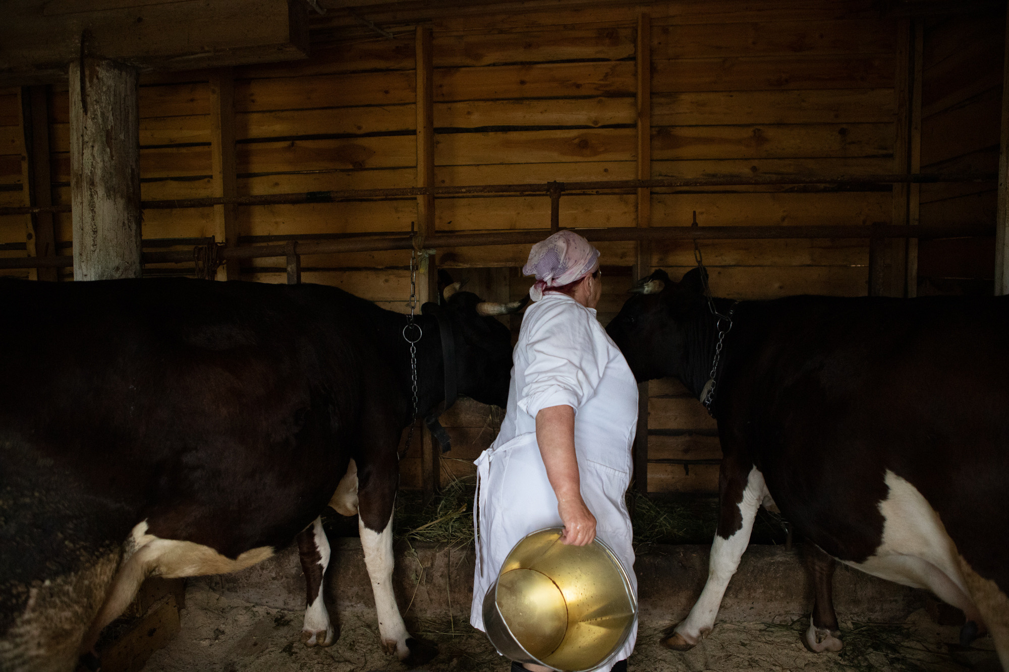 Ферма. Фотограф Наталия Глебкина