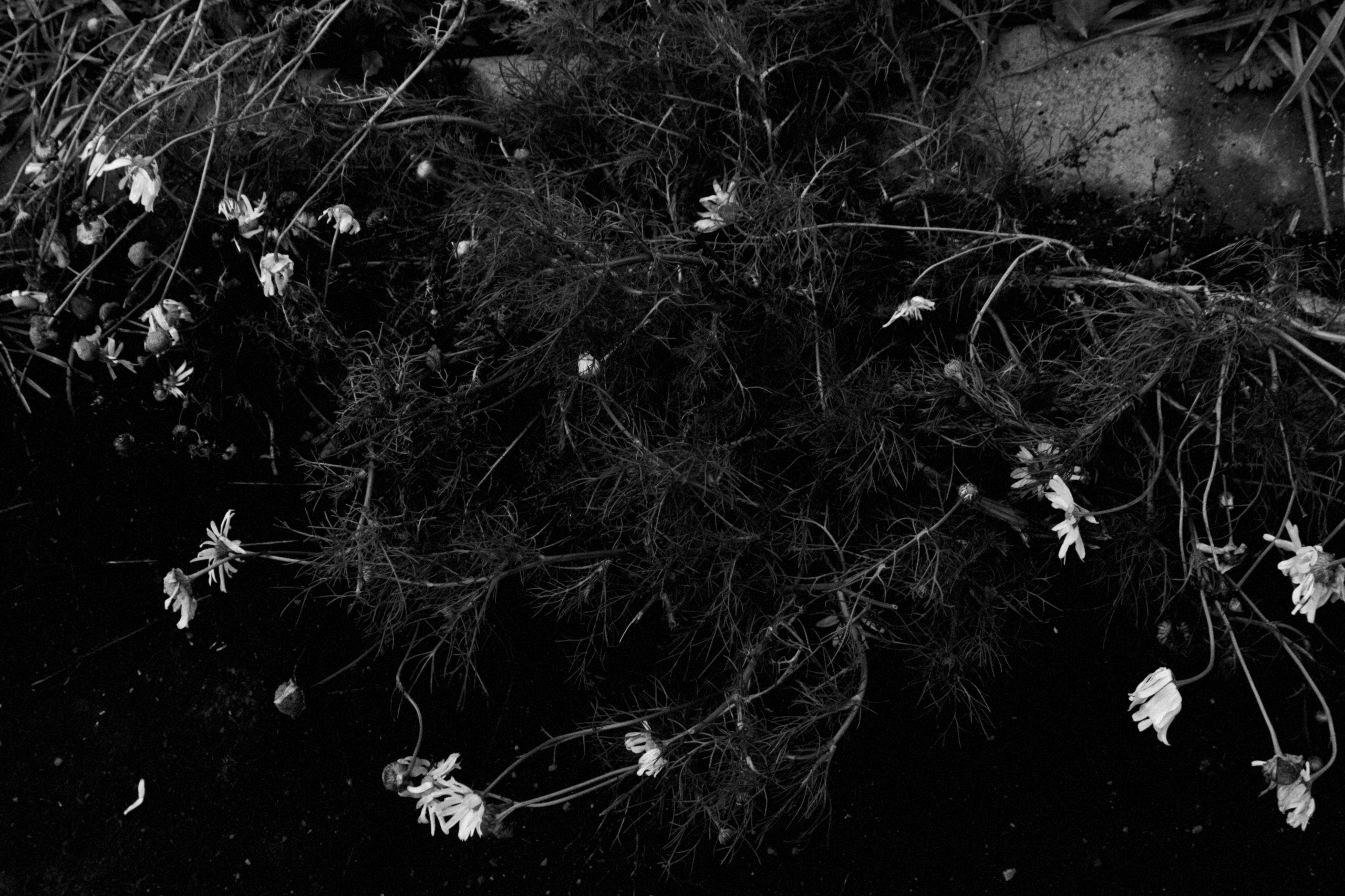 Меланхолия. Фотограф Наталия Глебкина