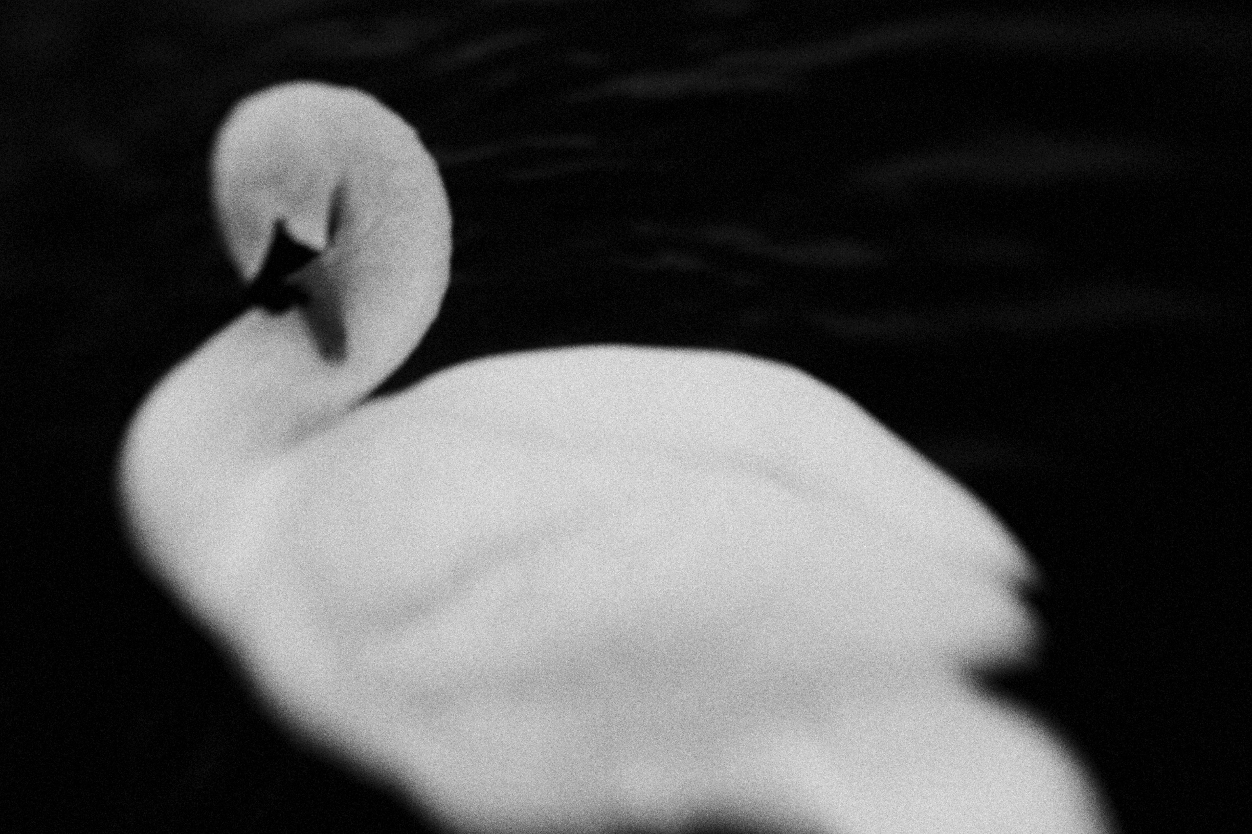 Меланхолия. Фотограф Наталия Глебкина