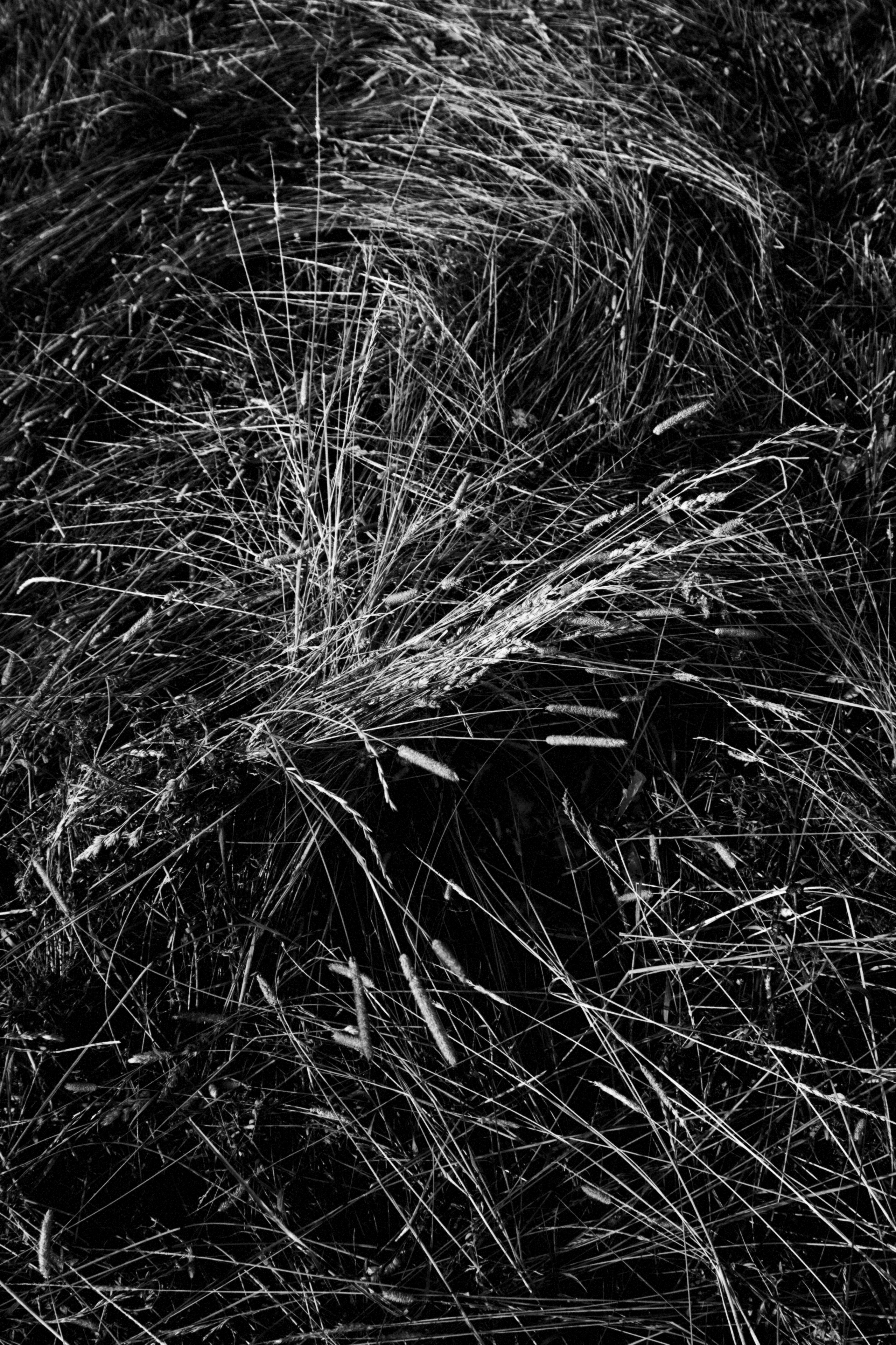 Меланхолия. Фотограф Наталия Глебкина