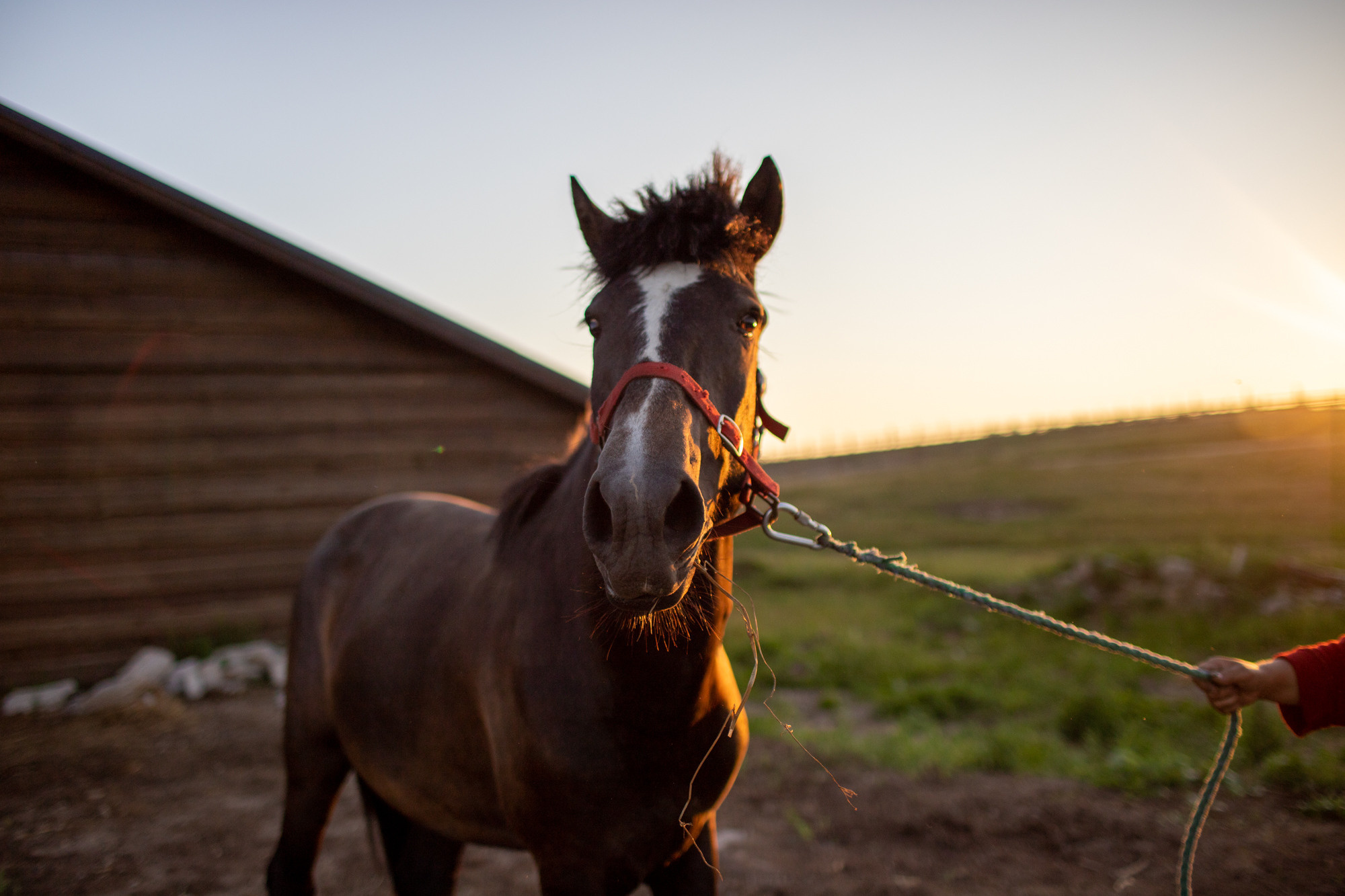 Ферма. Фотограф Наталия Глебкина
