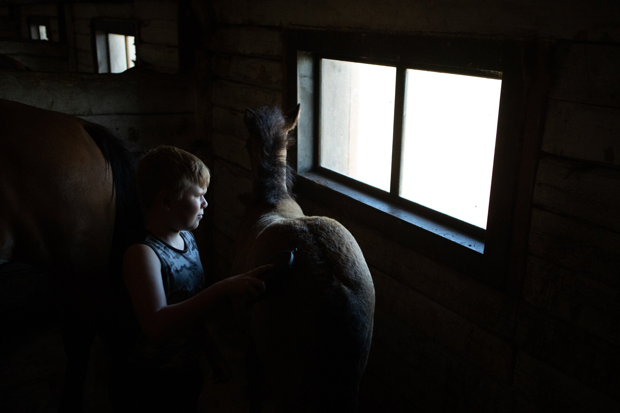 Ферма. Фотограф Наталия Глебкина