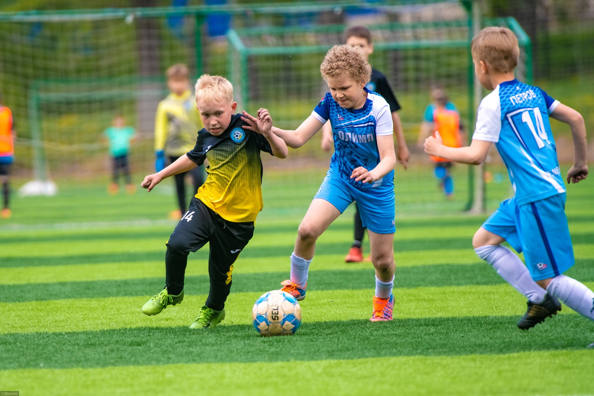 Металлург-Олимп. ProfotoNK