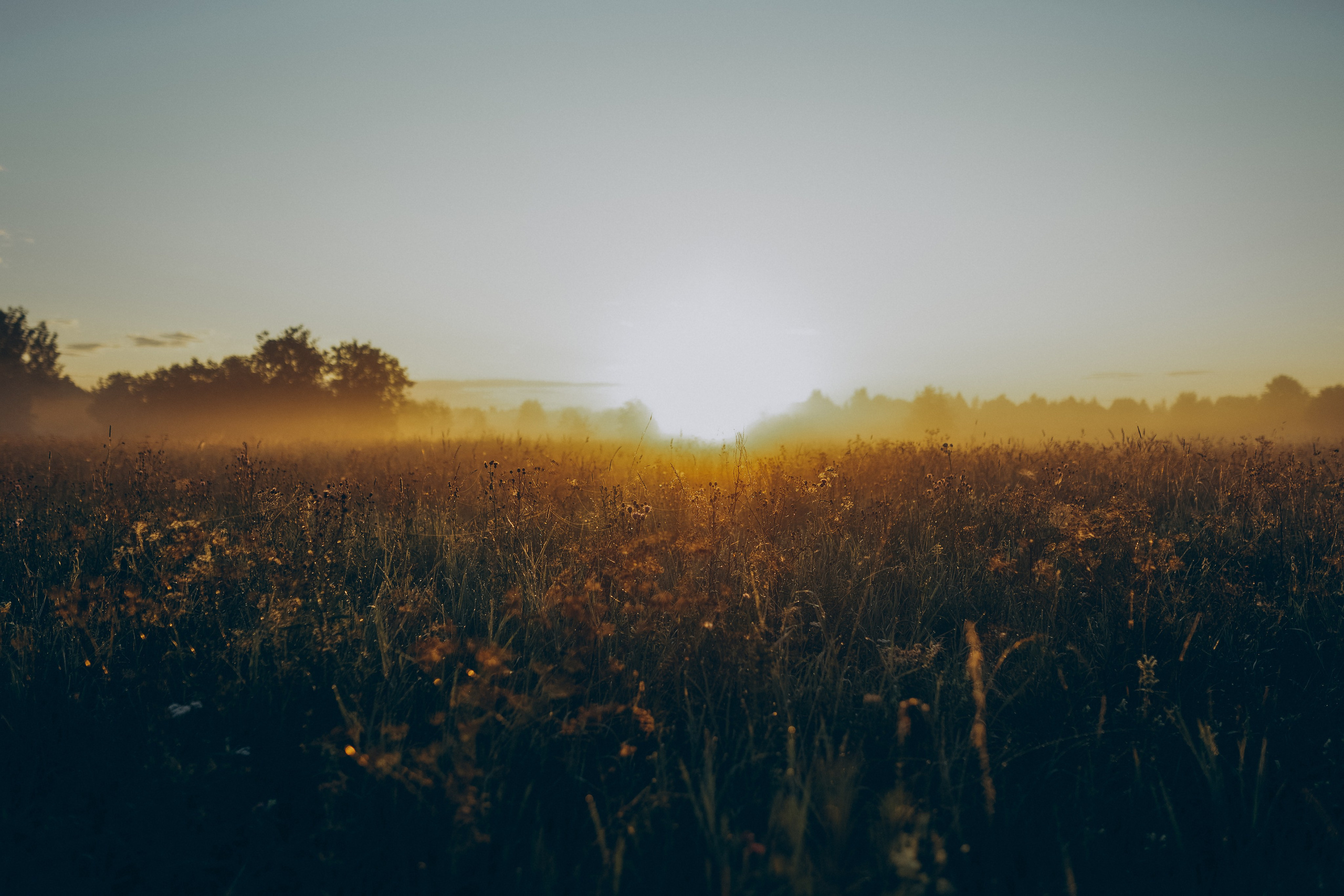 Ольга. Татьяна Афонина | Фотограф