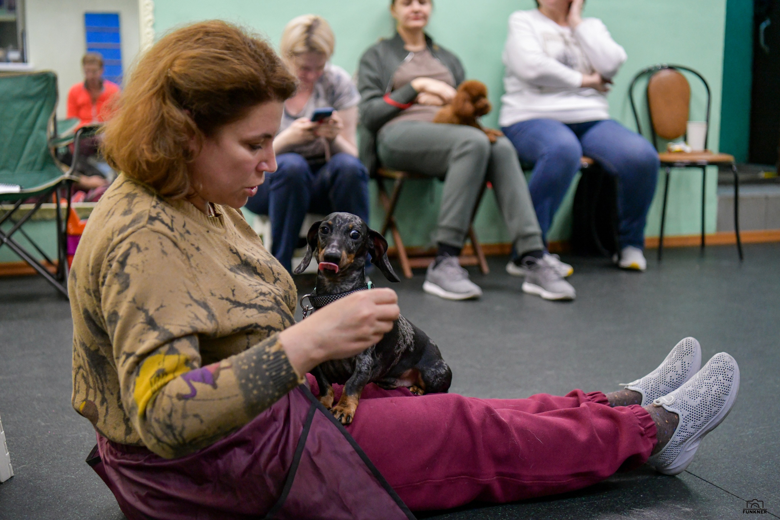 Кинологический клуб «Бодрый хвост». Свой взгляд через объектив