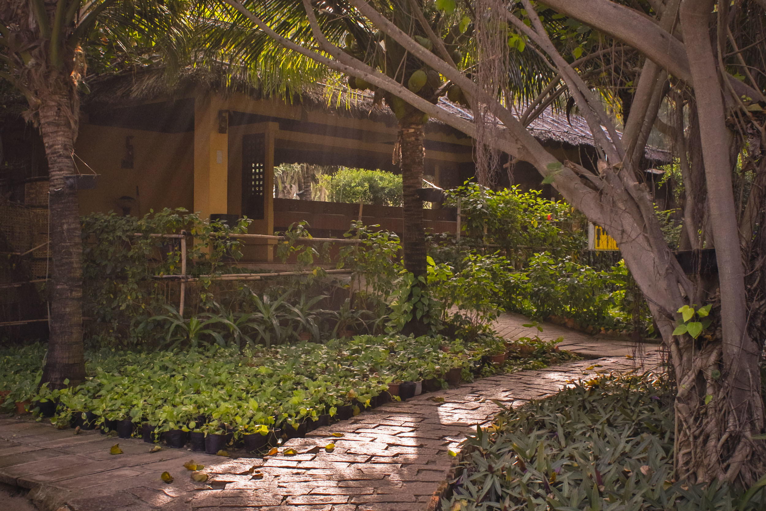 Вьетнам фотографии |Фотограф во Вьетнаме. Никита Демидов. Nikita Demidov