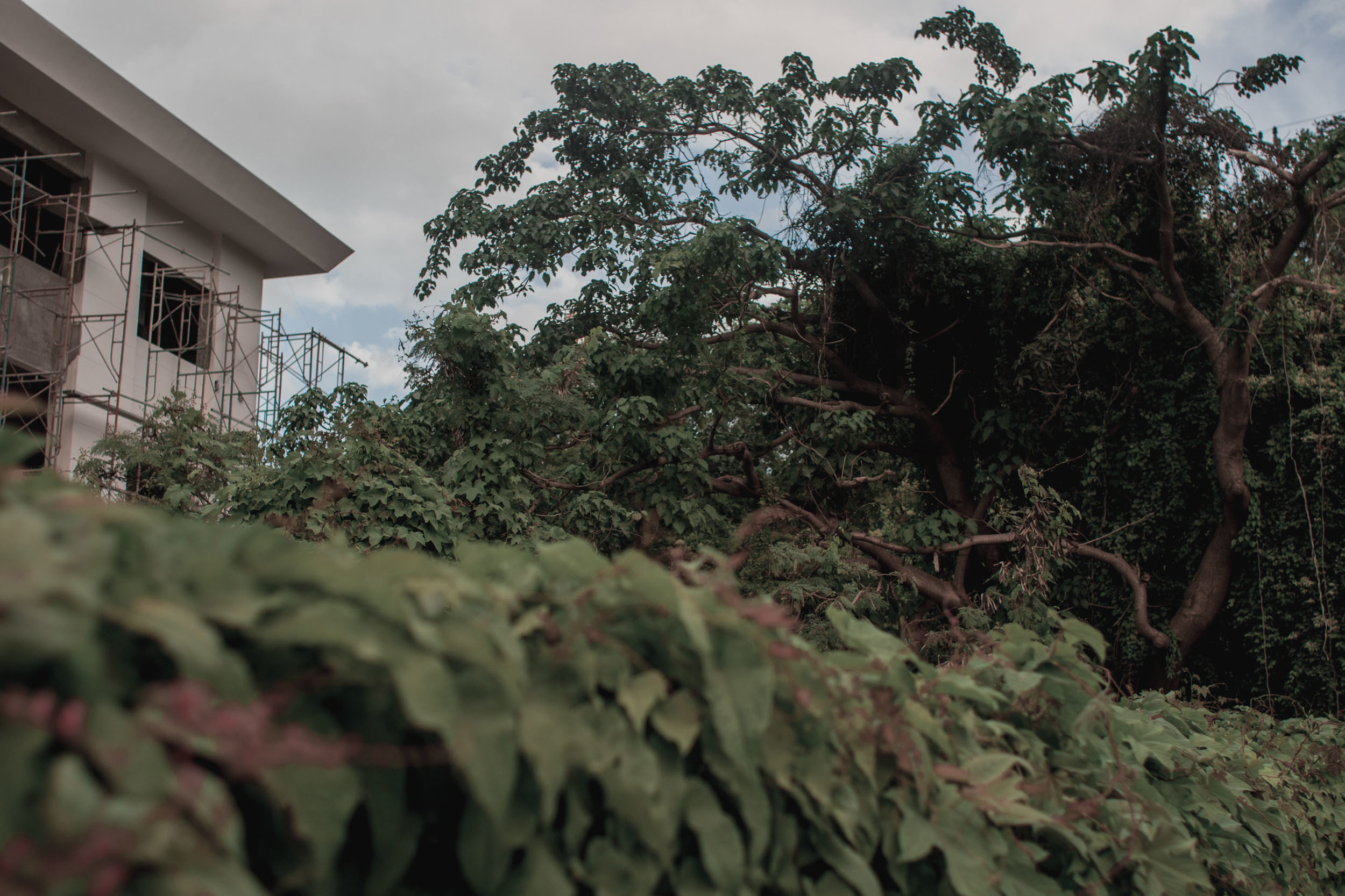 Вьетнам фотографии |Фотограф во Вьетнаме. Никита Демидов. Nikita Demidov