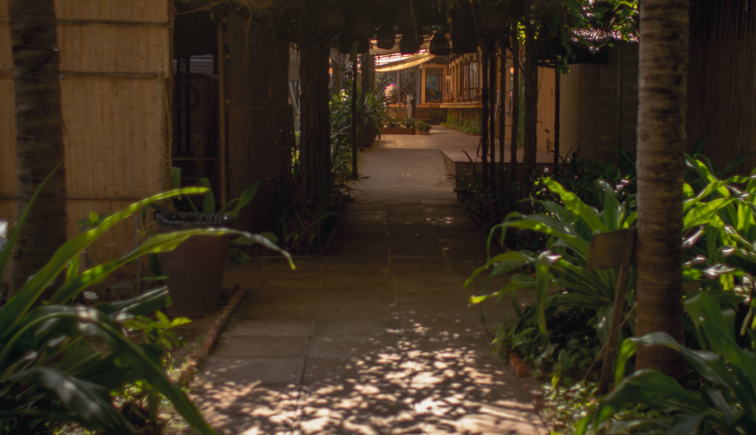 Вьетнам фотографии |Фотограф во Вьетнаме. Никита Демидов. Nikita Demidov