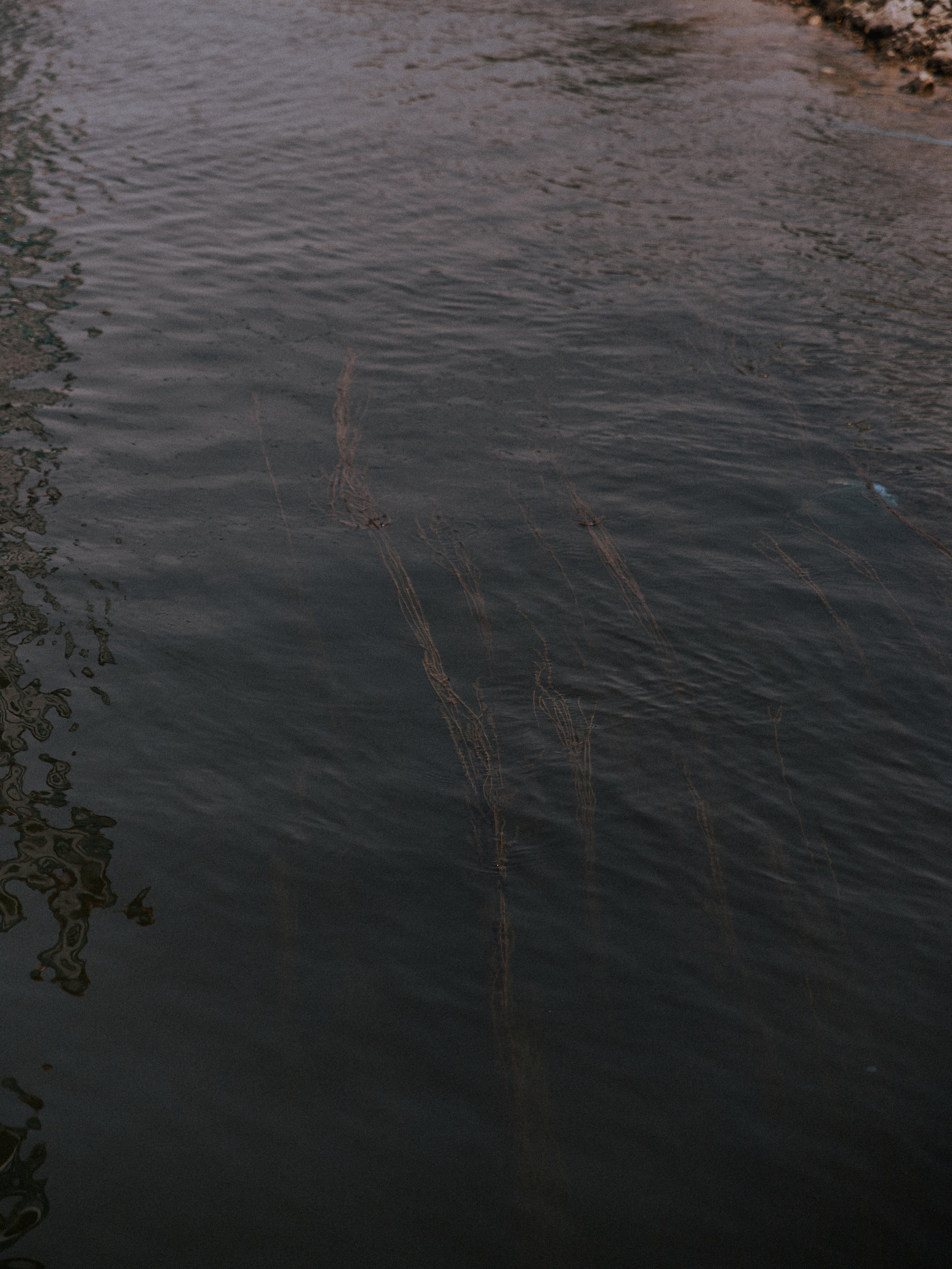 Природа. Jorgis Talè — photographer, kind person, teacher of arts and other mag