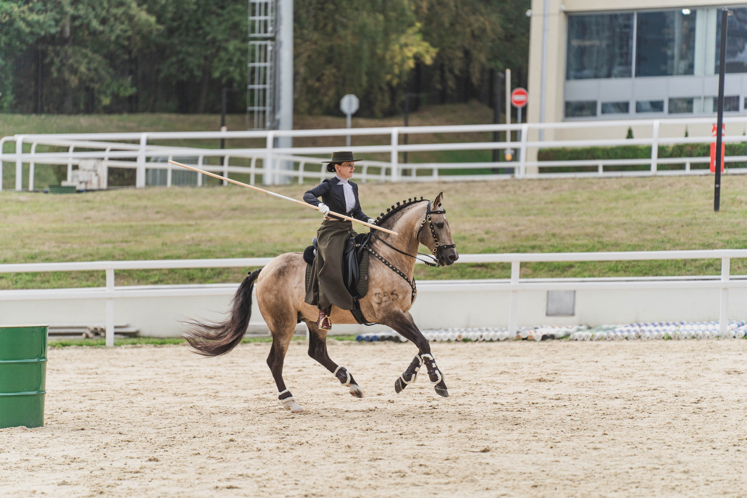 Мастер-класс по рабочей выездке. Фотограф в Москве Ленарская Дарья
