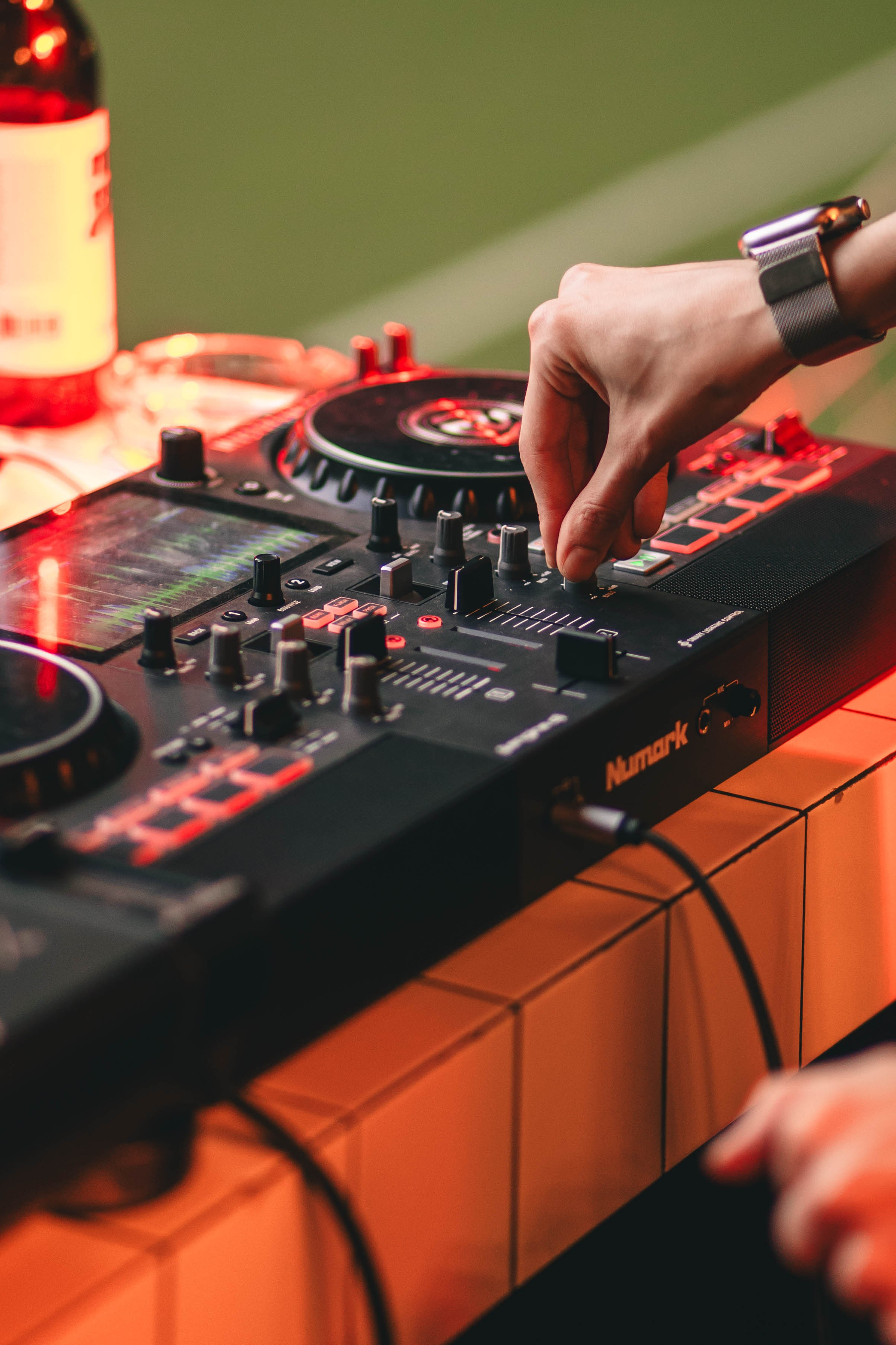 Pet-Party + Live-music |Парк Культуры. Фотограф в Ставрополе Алина Клочкова