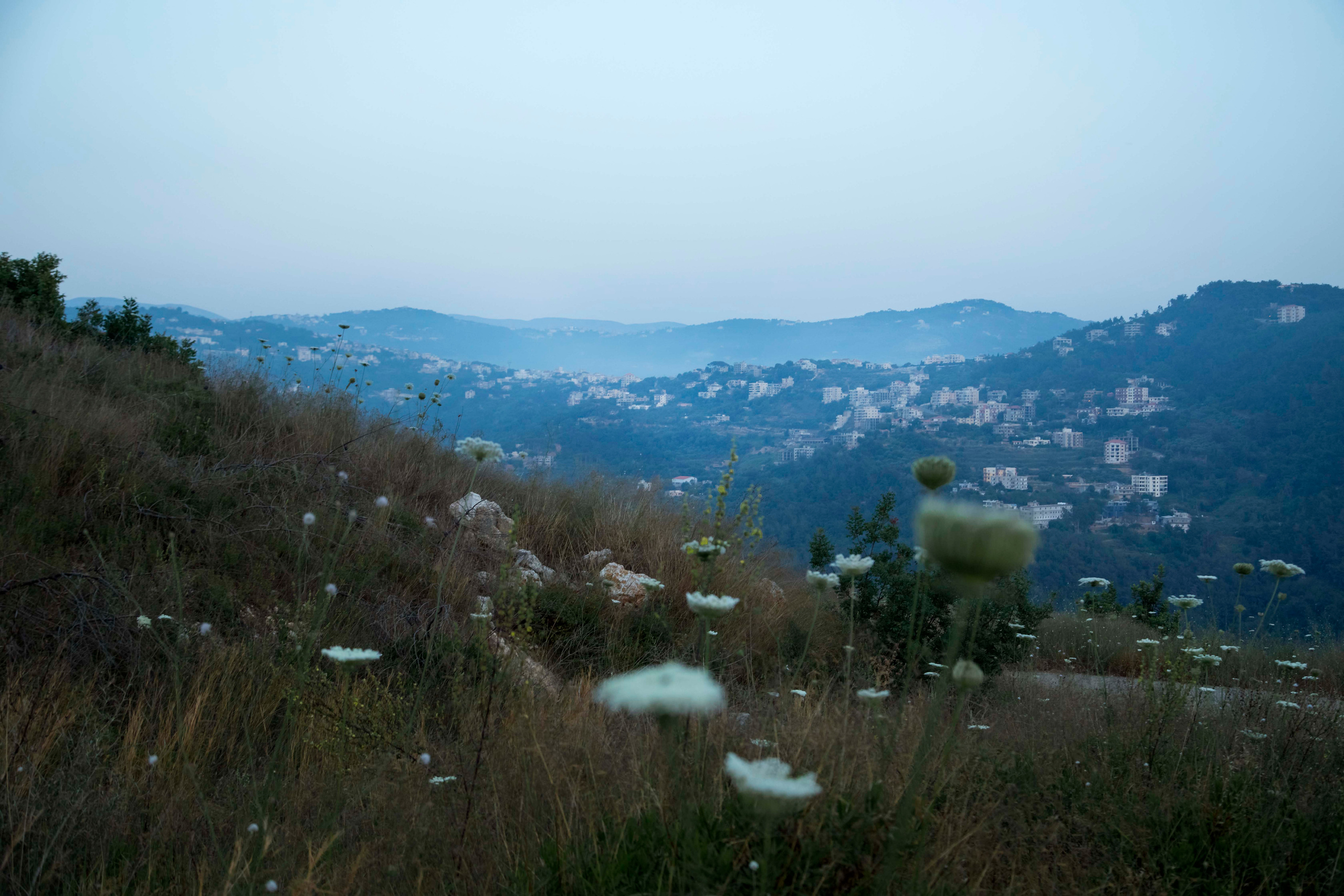 Lera. Семейный и детский фотограф в Санкт-Петербург. Natalia Fadel
