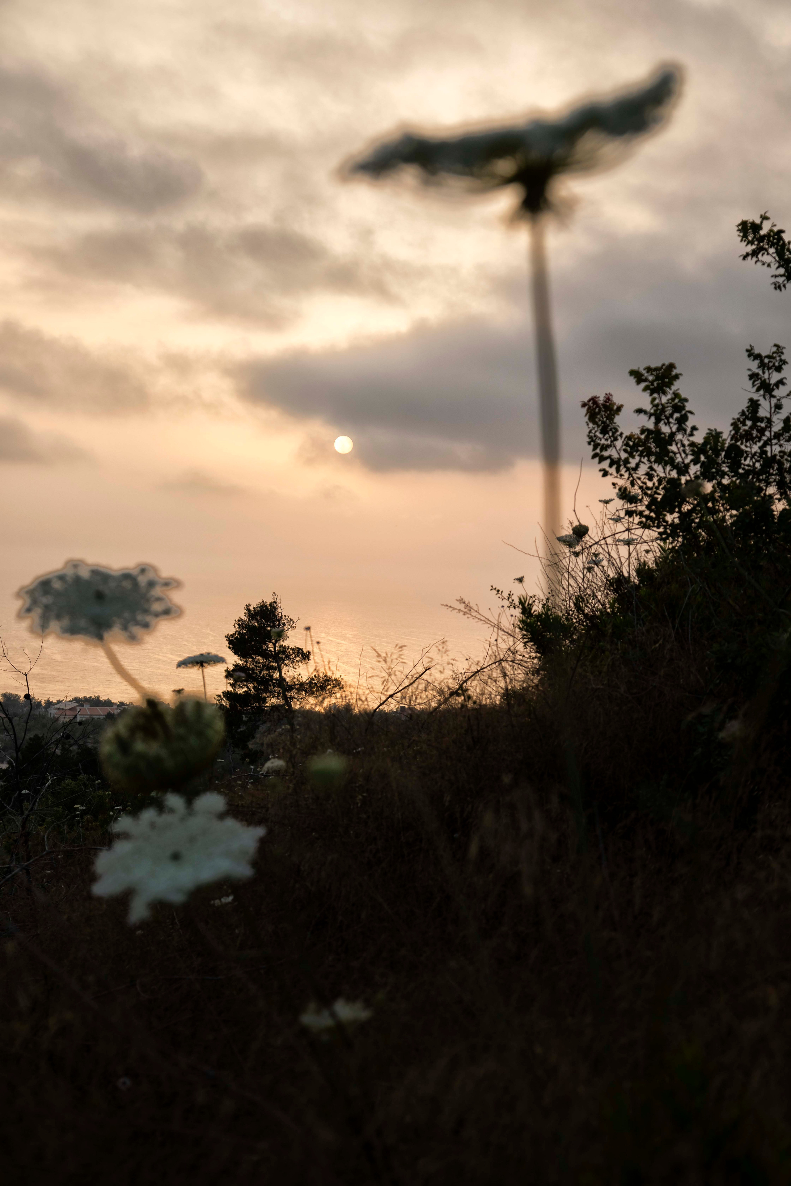 Lera. Семейный и детский фотограф в Санкт-Петербург. Natalia Fadel