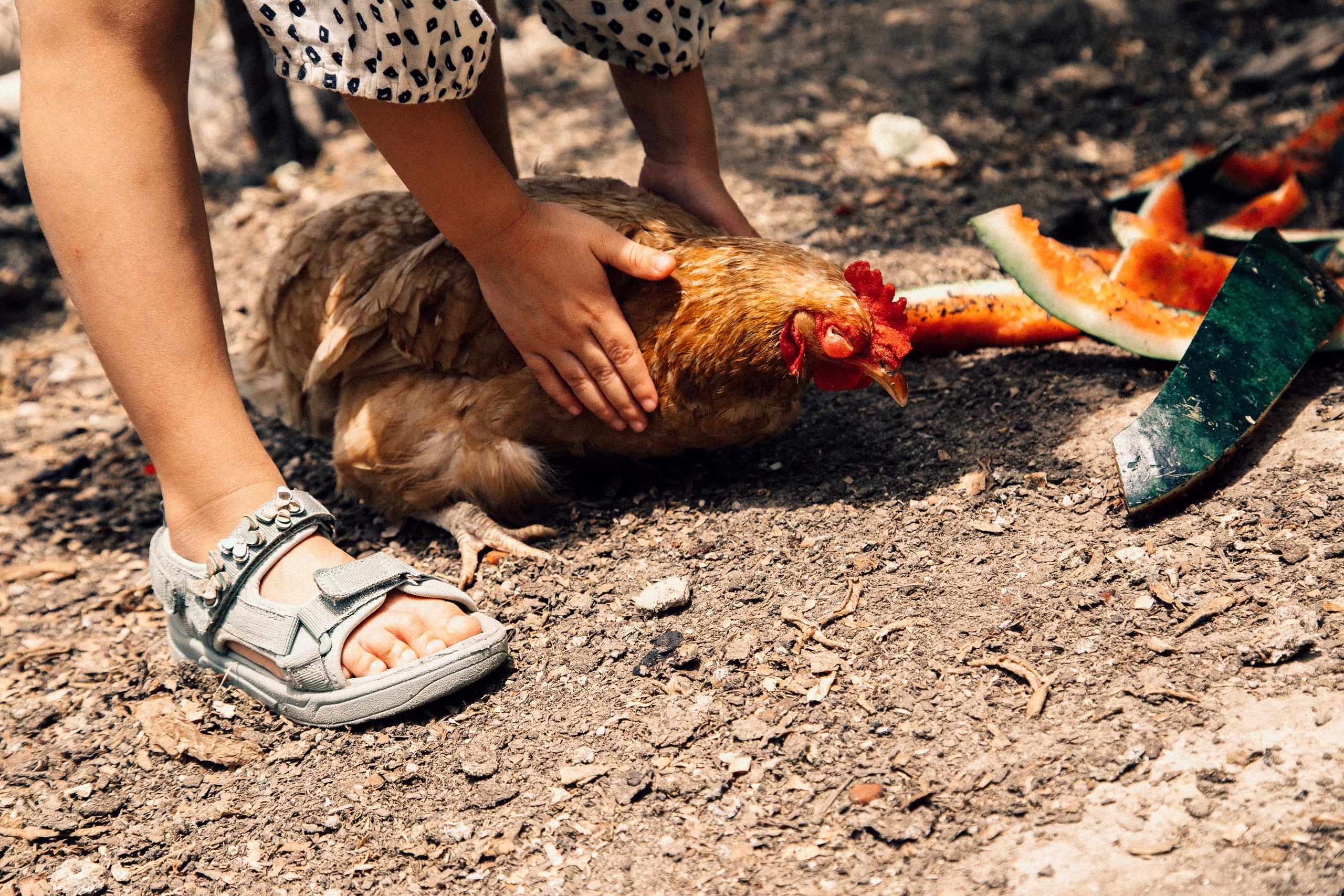 Nikol end rabbit. Семейный и детский фотограф в Санкт-Петербург. Natalia Fadel